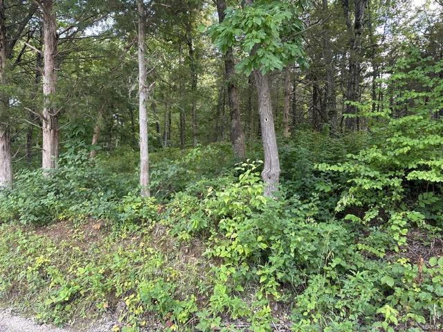 350 Hill Creek Road