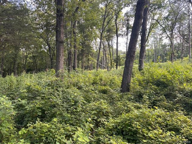 350 Hill Creek Road
