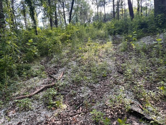 350 Hill Creek Road