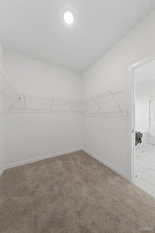 109 Sommers Creek Court