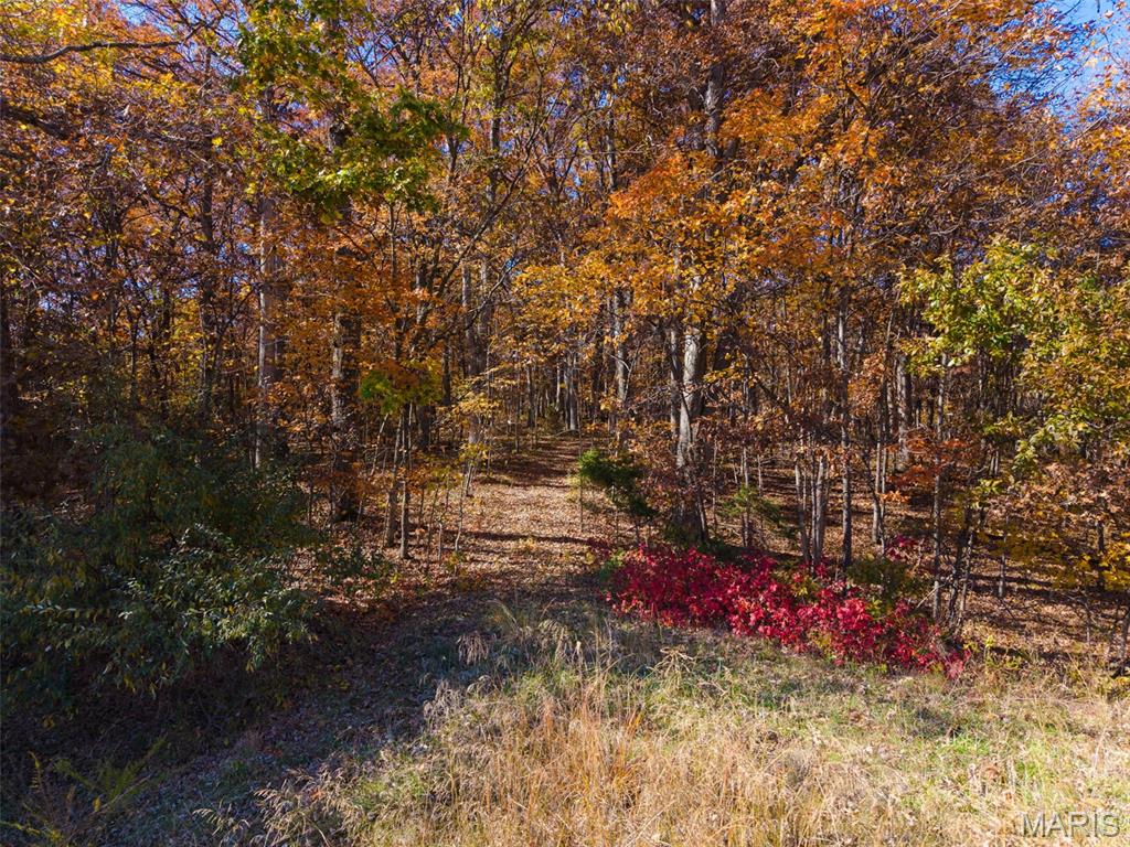 32342 Monroe Road 344