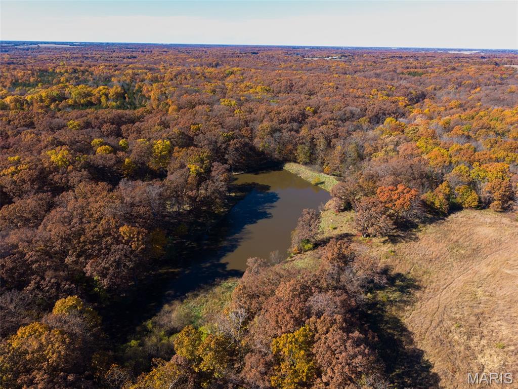 32342 Monroe Road 344