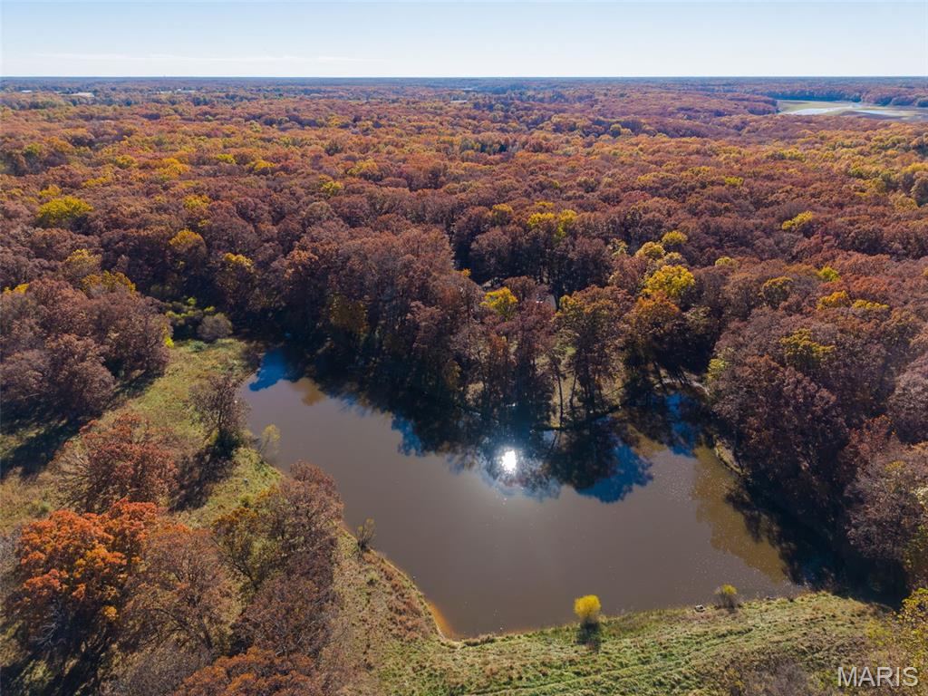 32342 Monroe Road 344