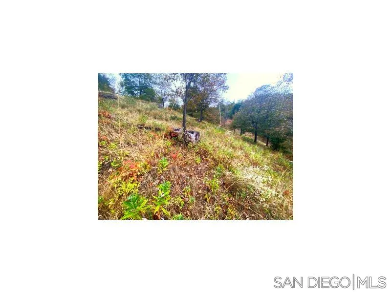 0000 Azalea Avenue Unit 19