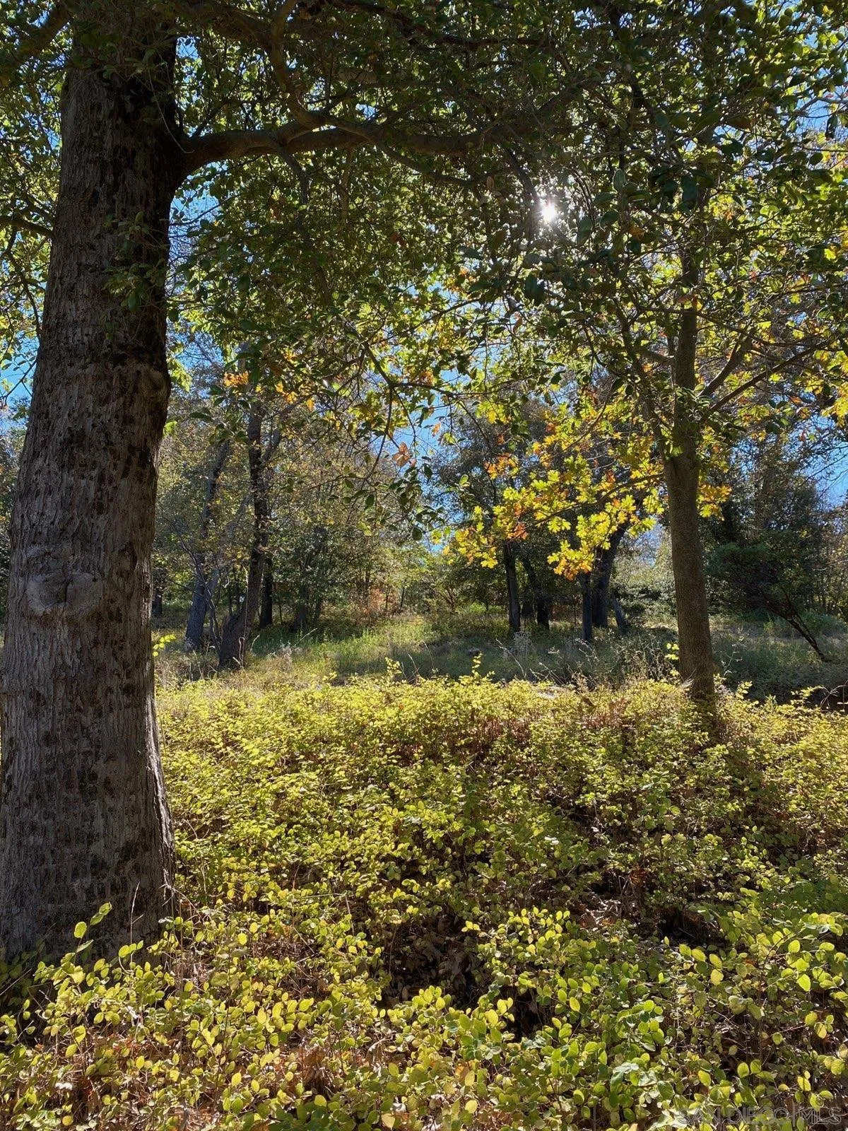 0000 Azalea Avenue Unit 19