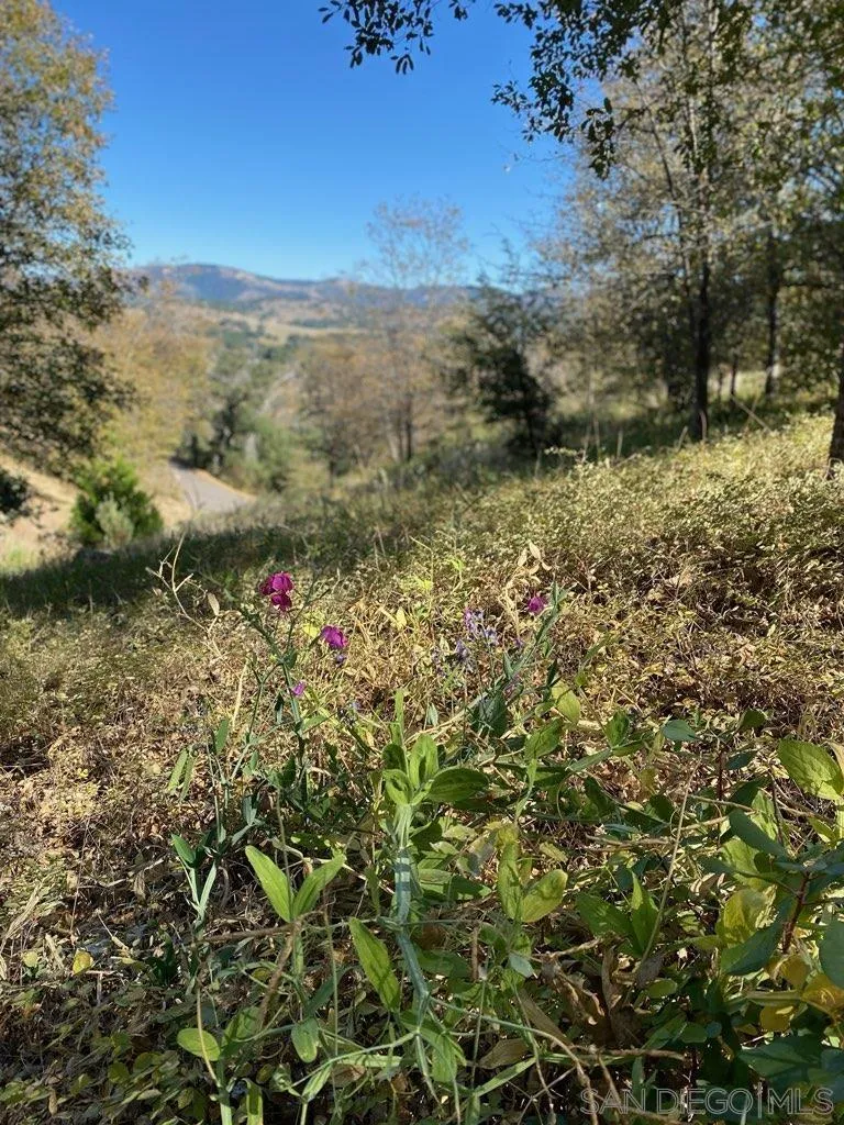 0000 Azalea Avenue Unit 19