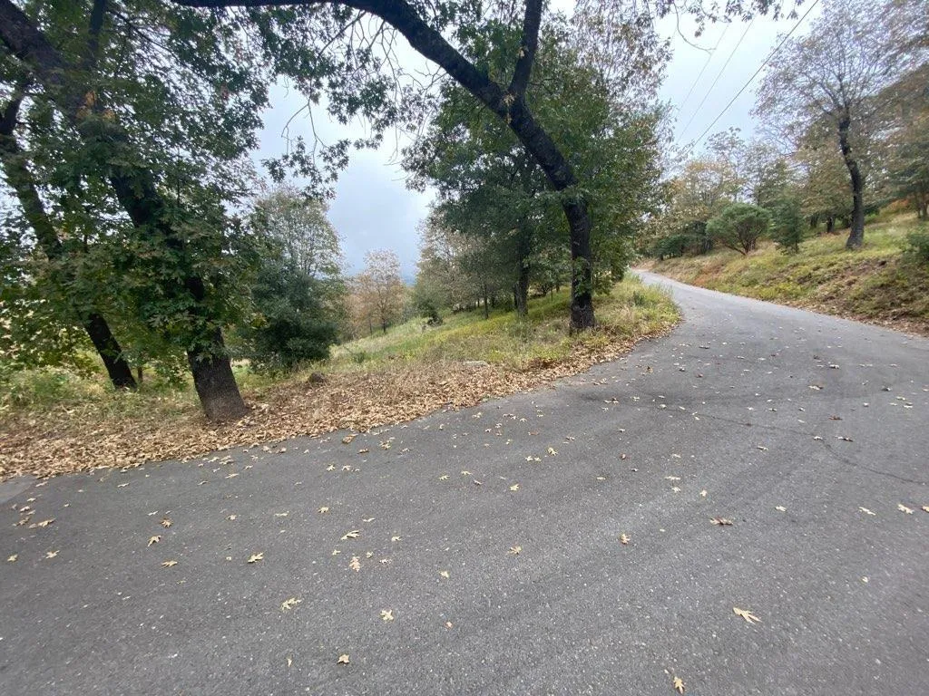 0000 Azalea Avenue Unit 19