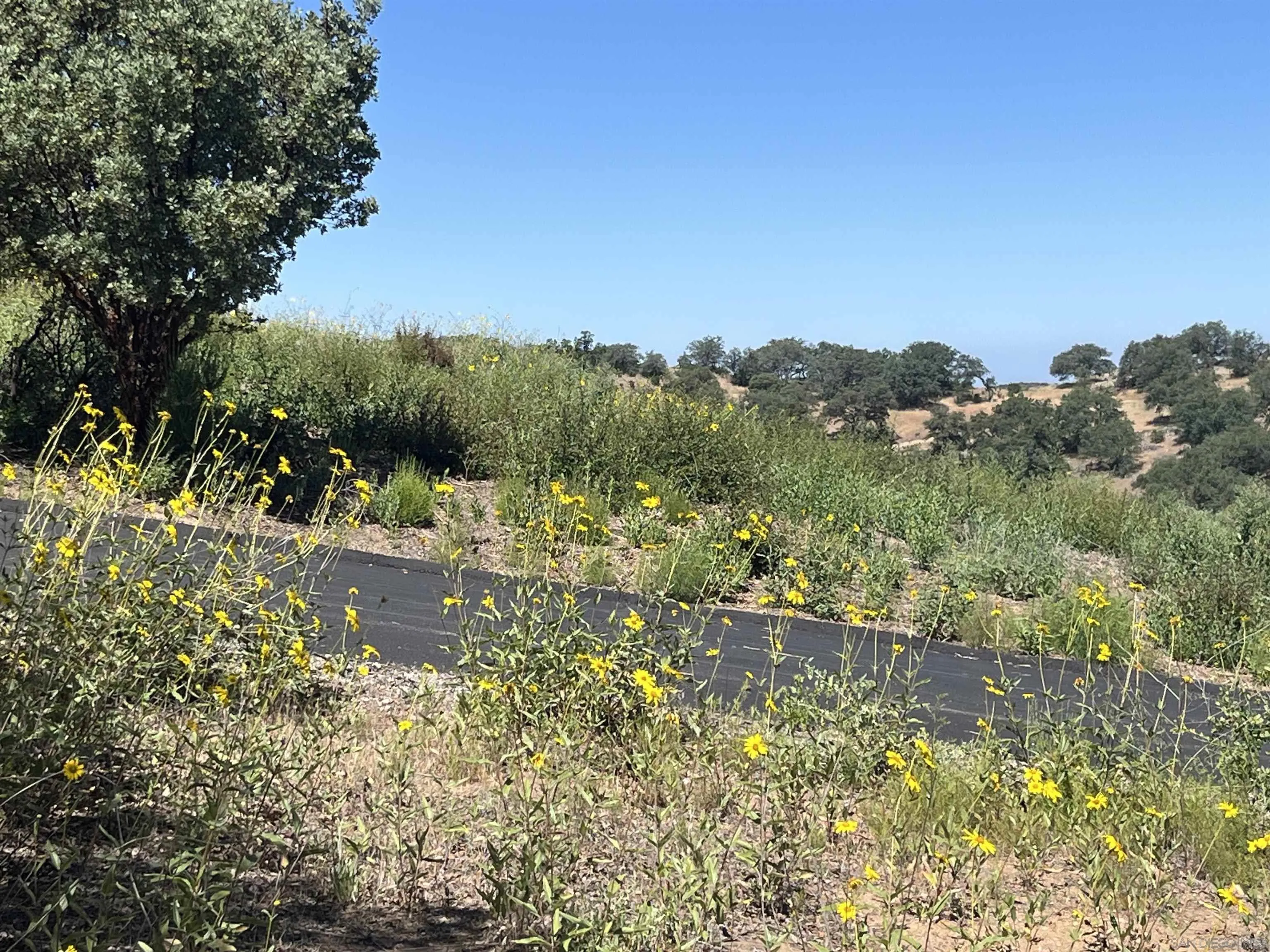 3890 Eagle Ridge Unit 0