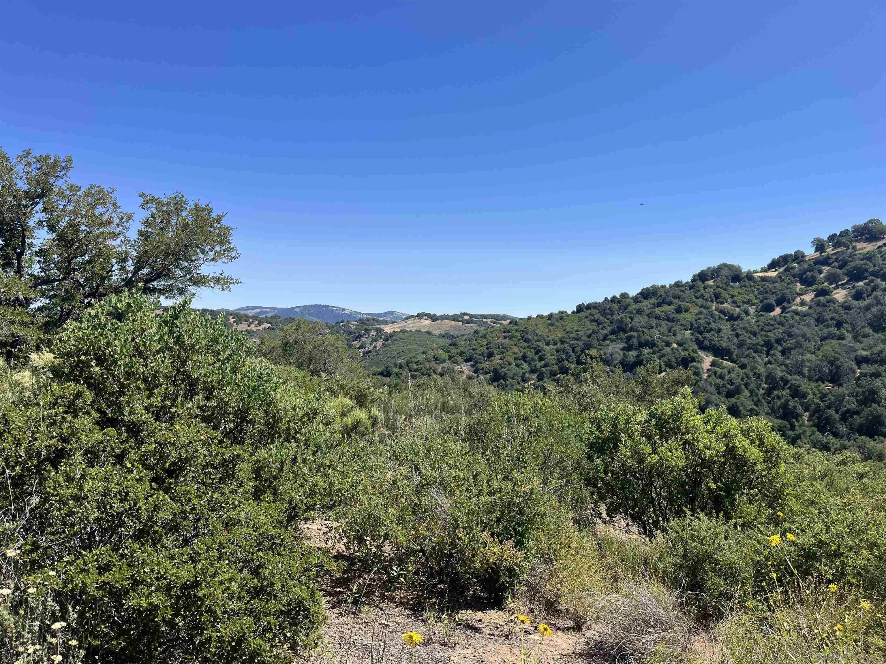 3890 Eagle Ridge Unit 0