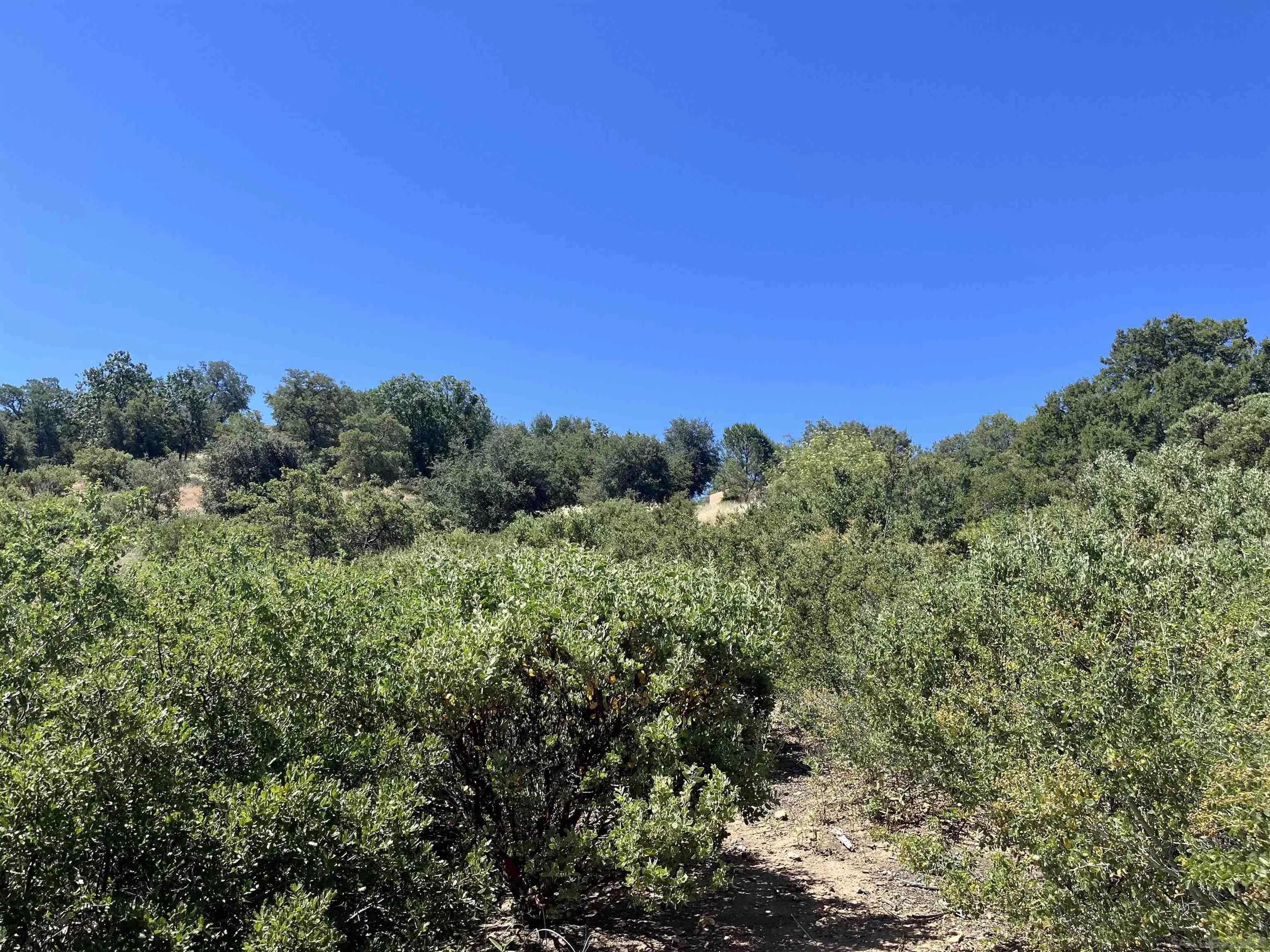 3890 Eagle Ridge Unit 0