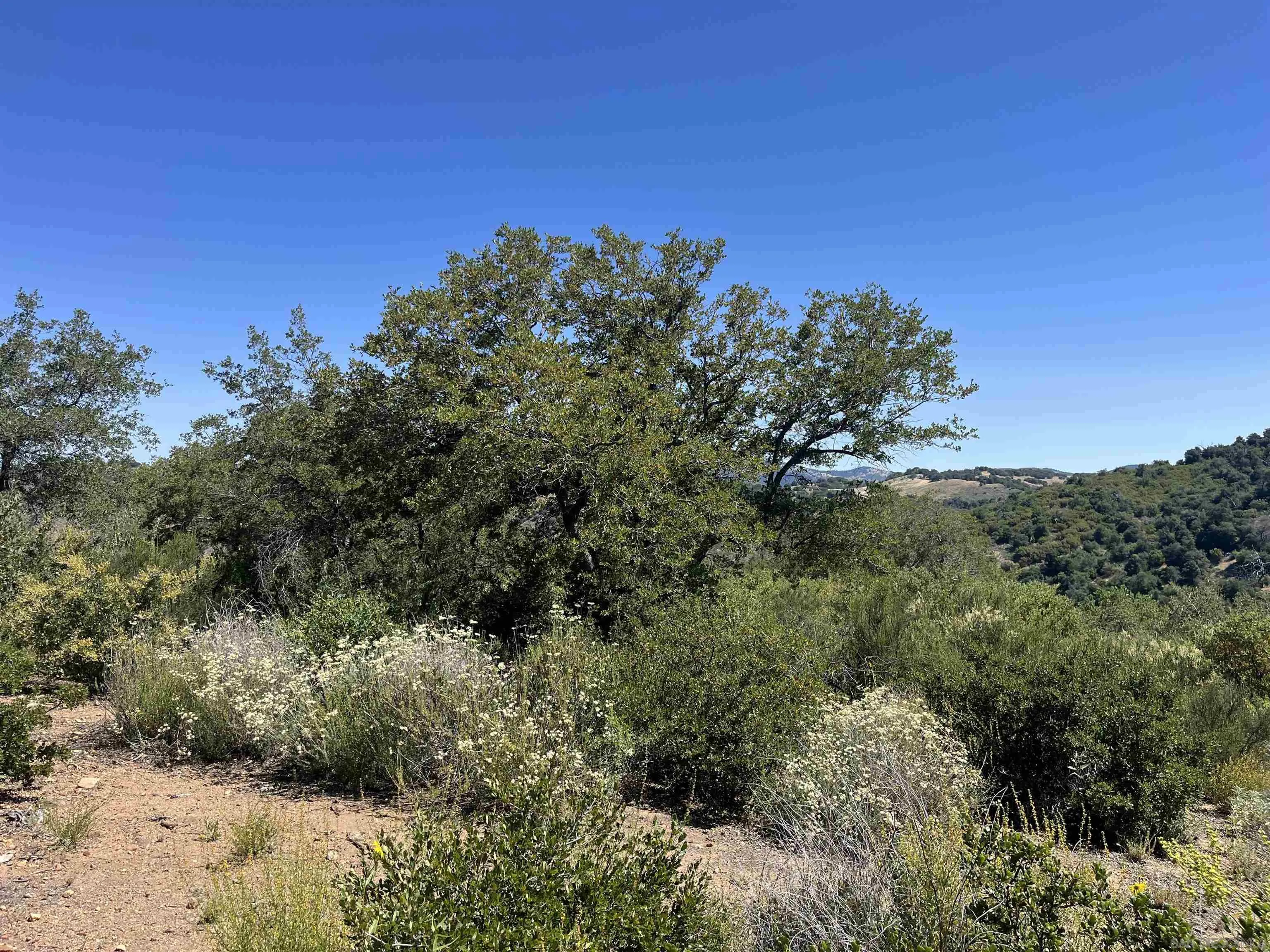 3890 Eagle Ridge Unit 0