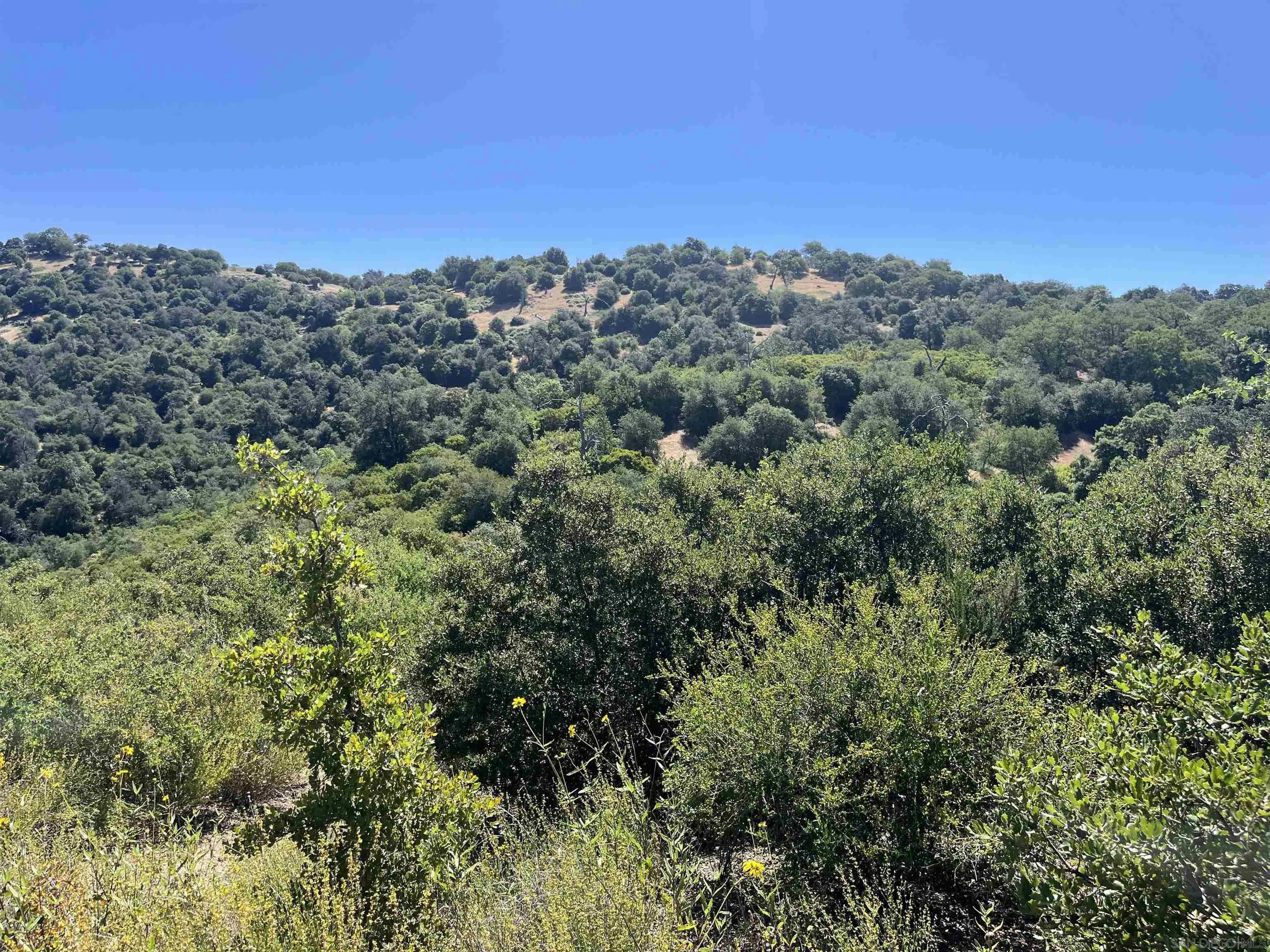 3890 Eagle Ridge Unit 0