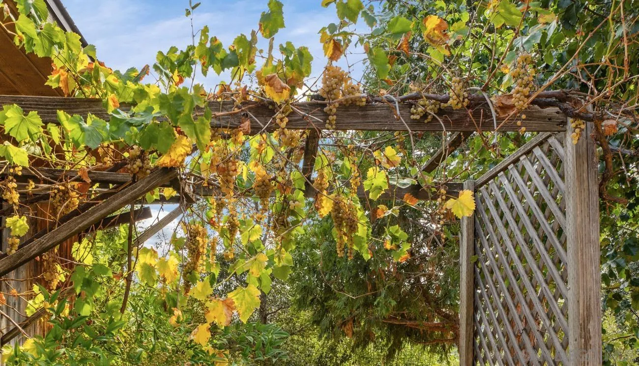 4851 Belvedere Drive