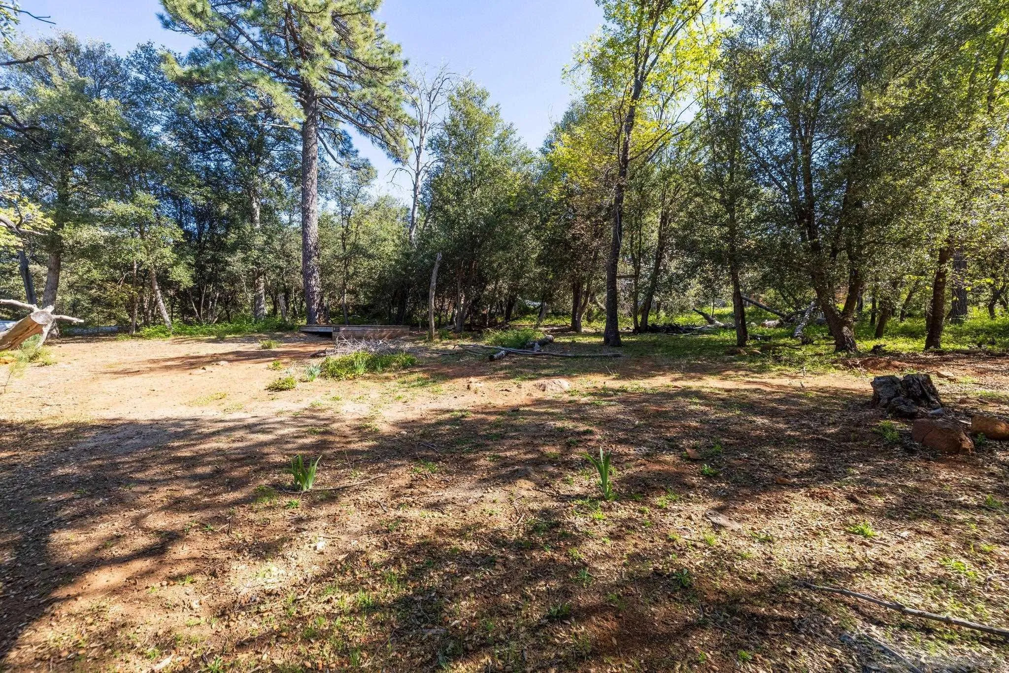 3131 Pera Alta Dr