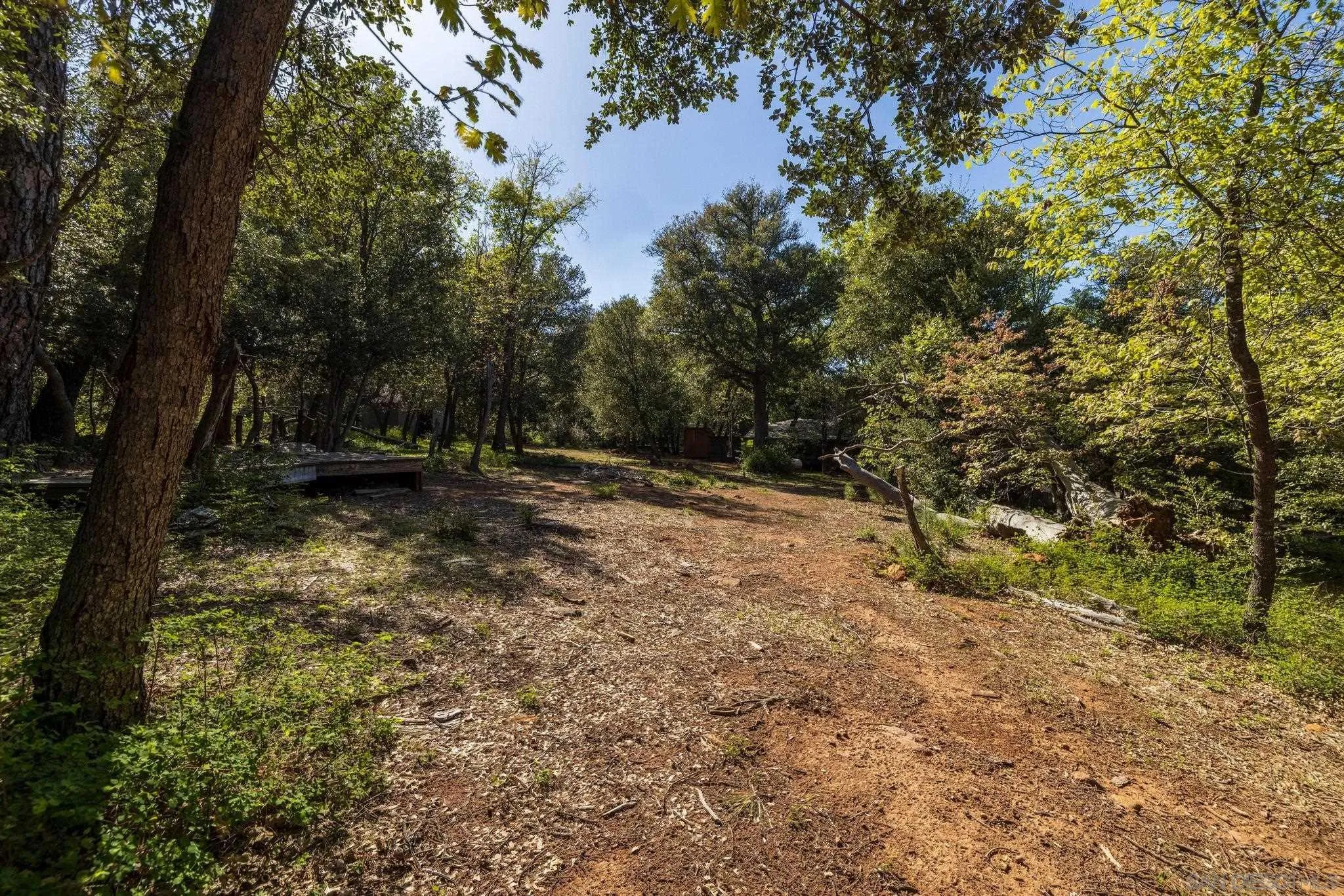 3131 Pera Alta Dr