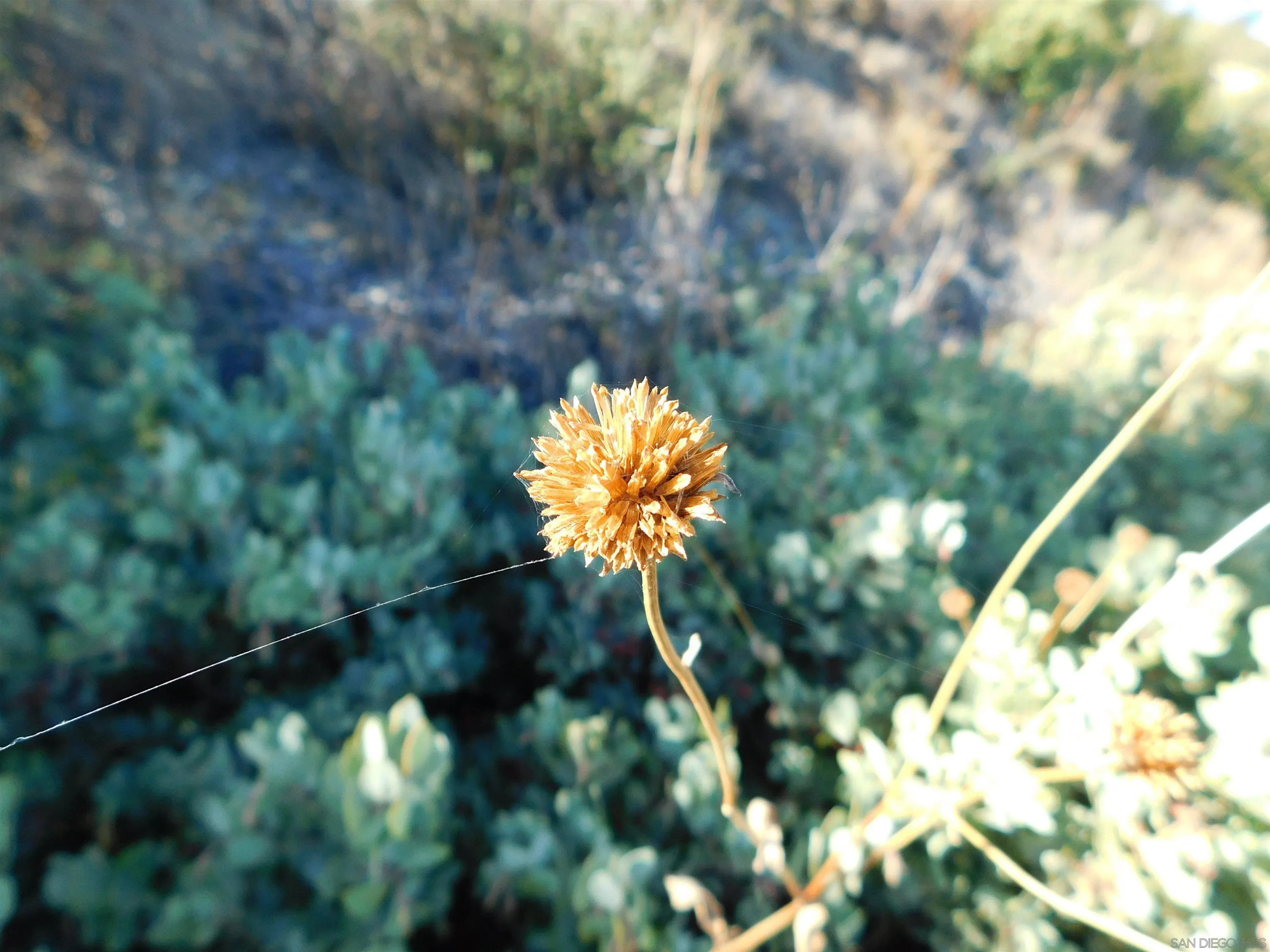 1.90 Ac Mountain View Unit 0