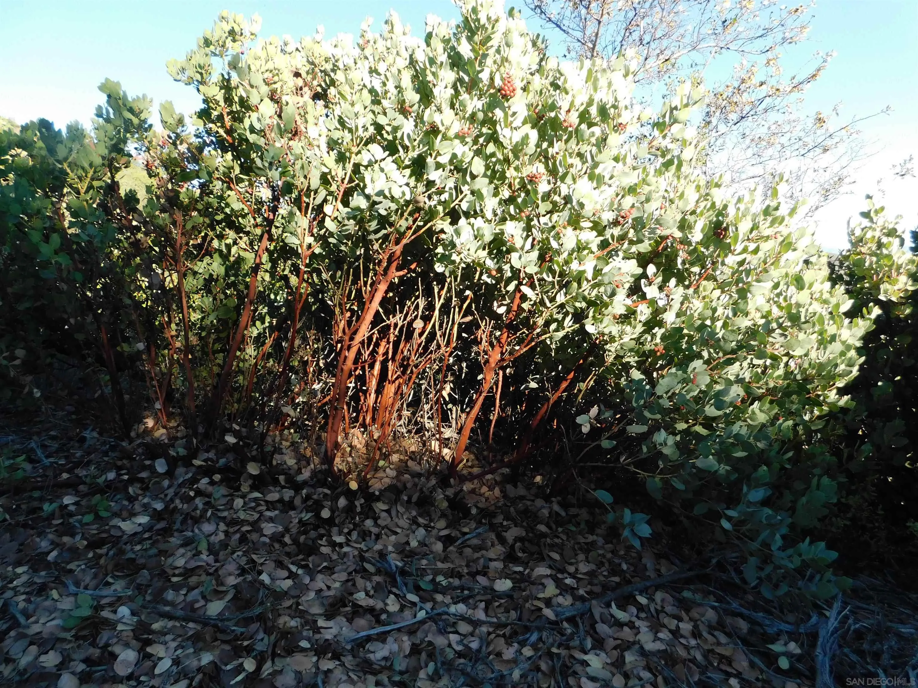 1.90 Ac Mountain View Unit 0