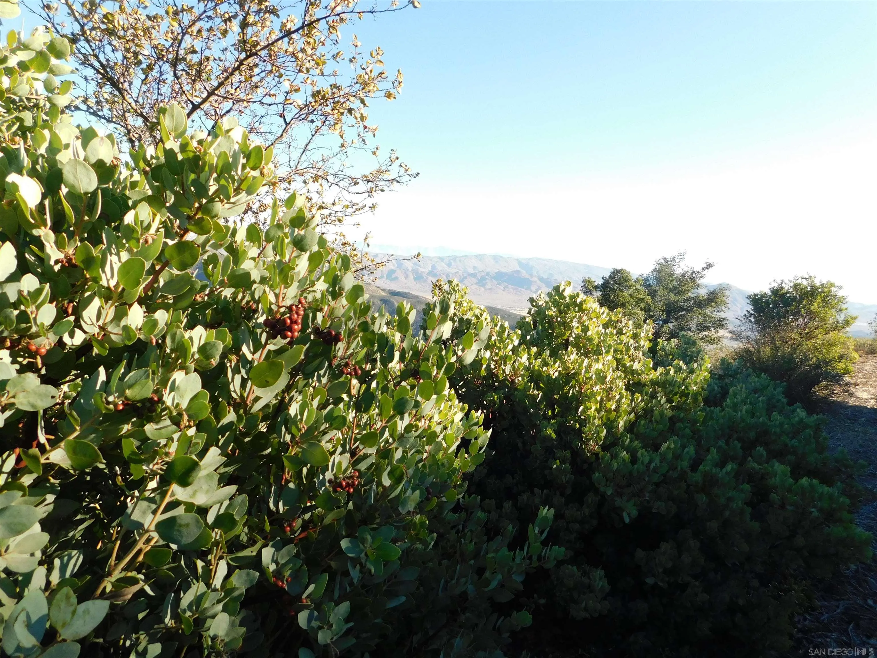 1.90 Ac Mountain View Unit 0