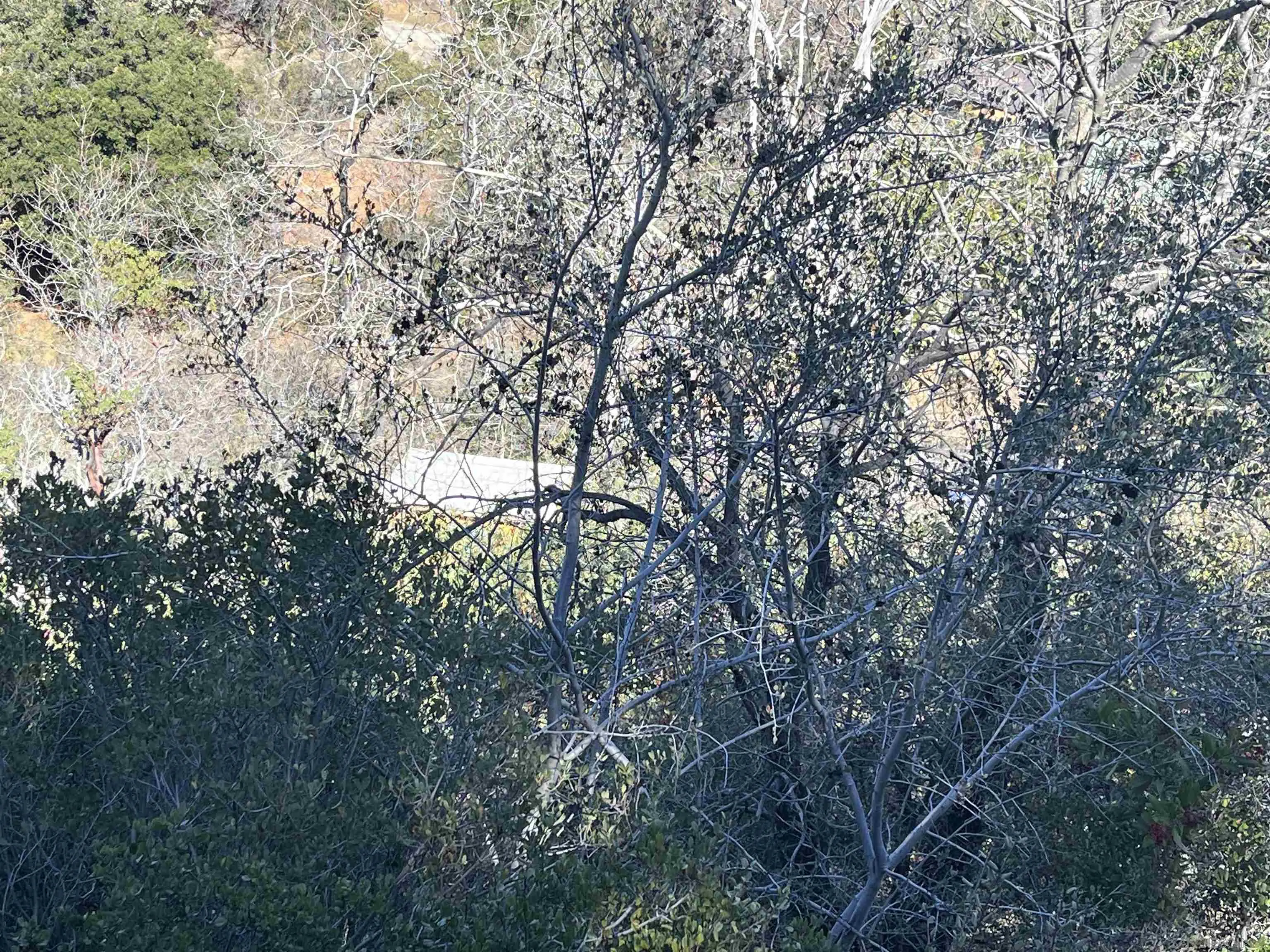 0 Banner View Dr Unit 0