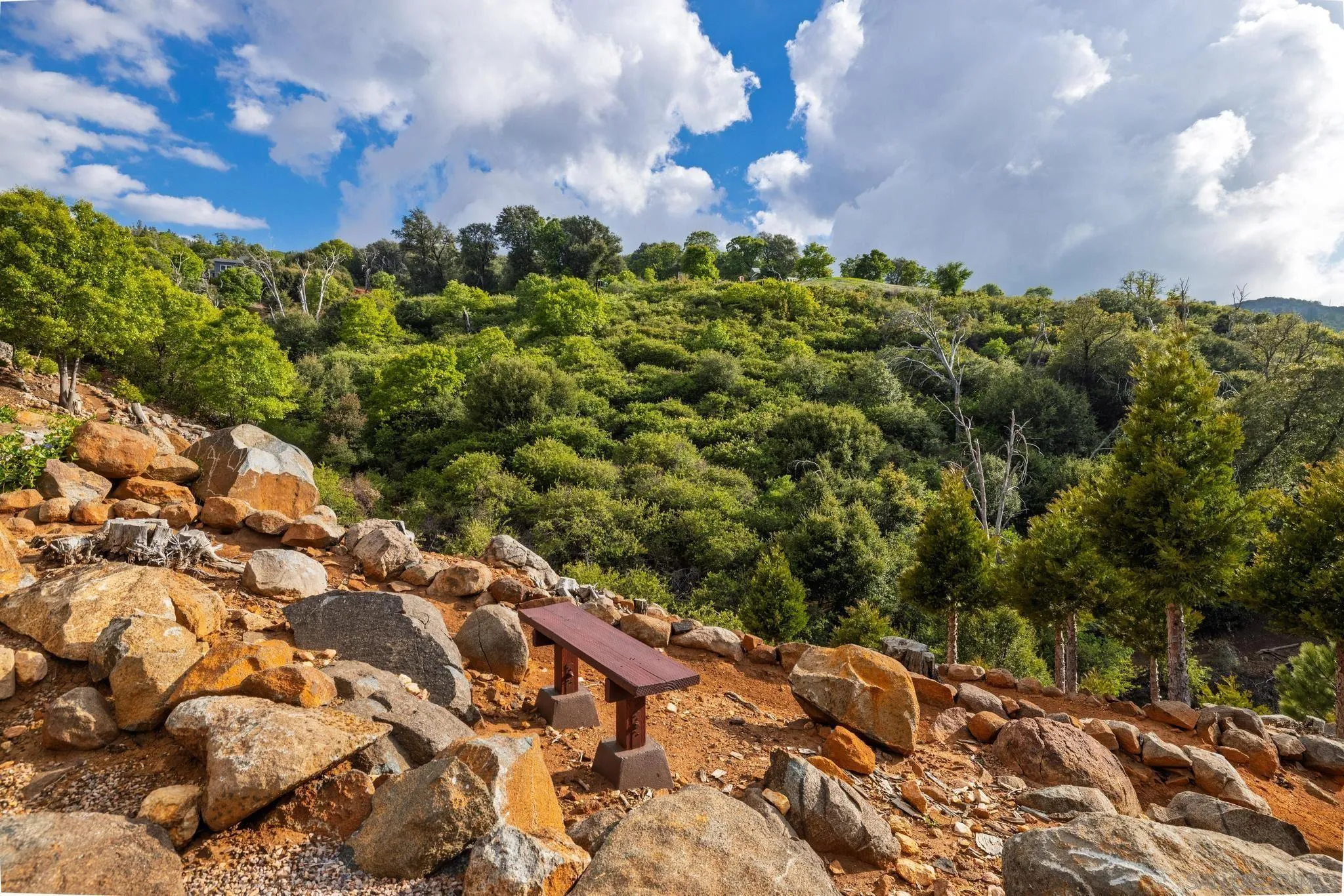 16913 Harrison Park Trl