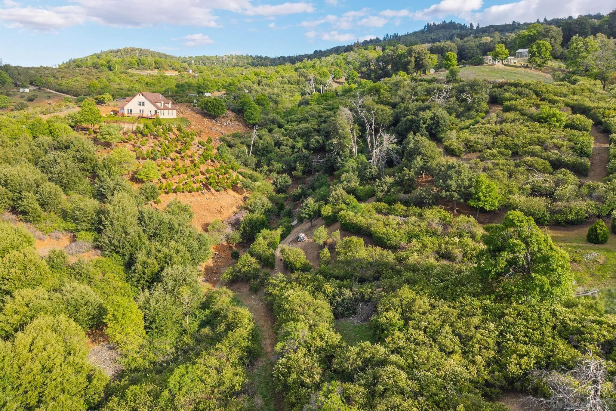 16913 Harrison Park Trl