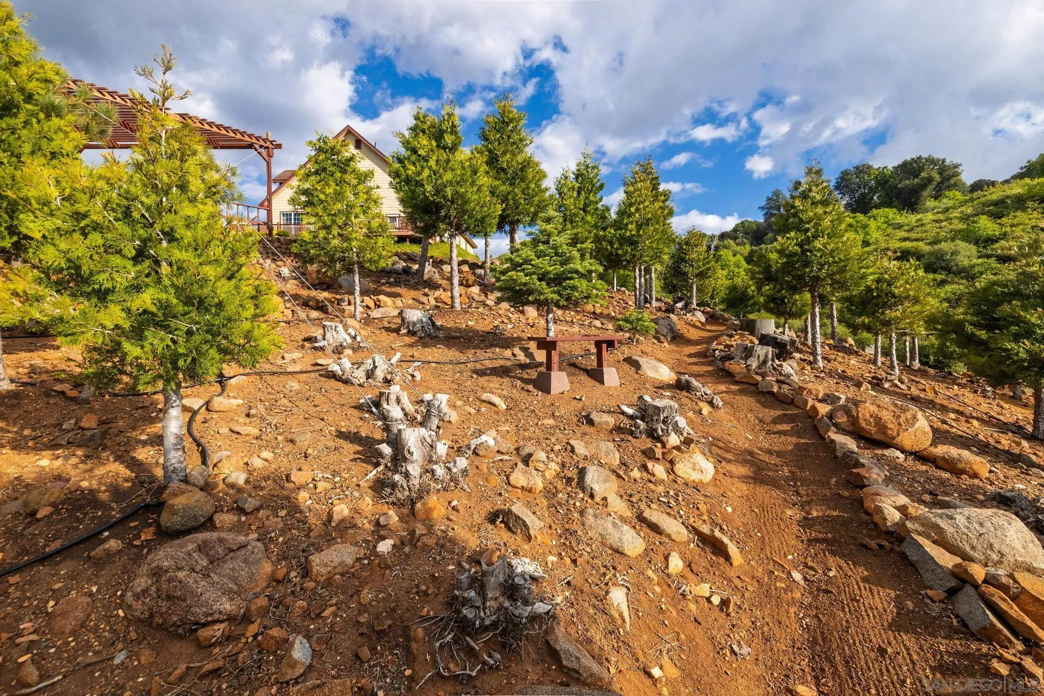 16913 Harrison Park Trl