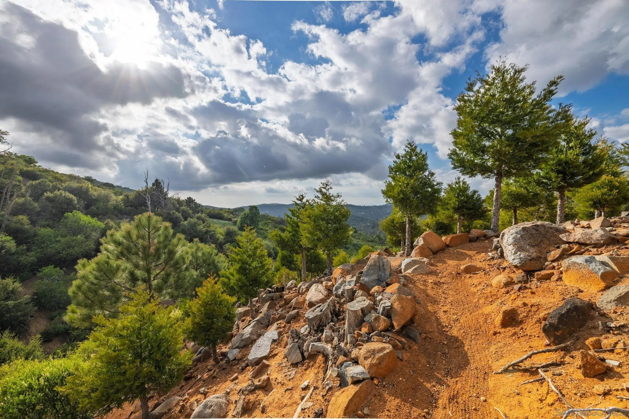 16913 Harrison Park Trl