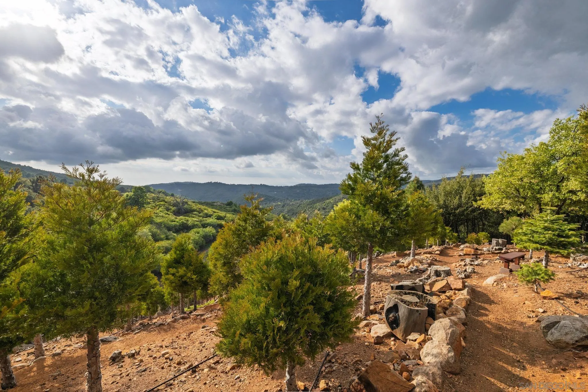 16913 Harrison Park Trl