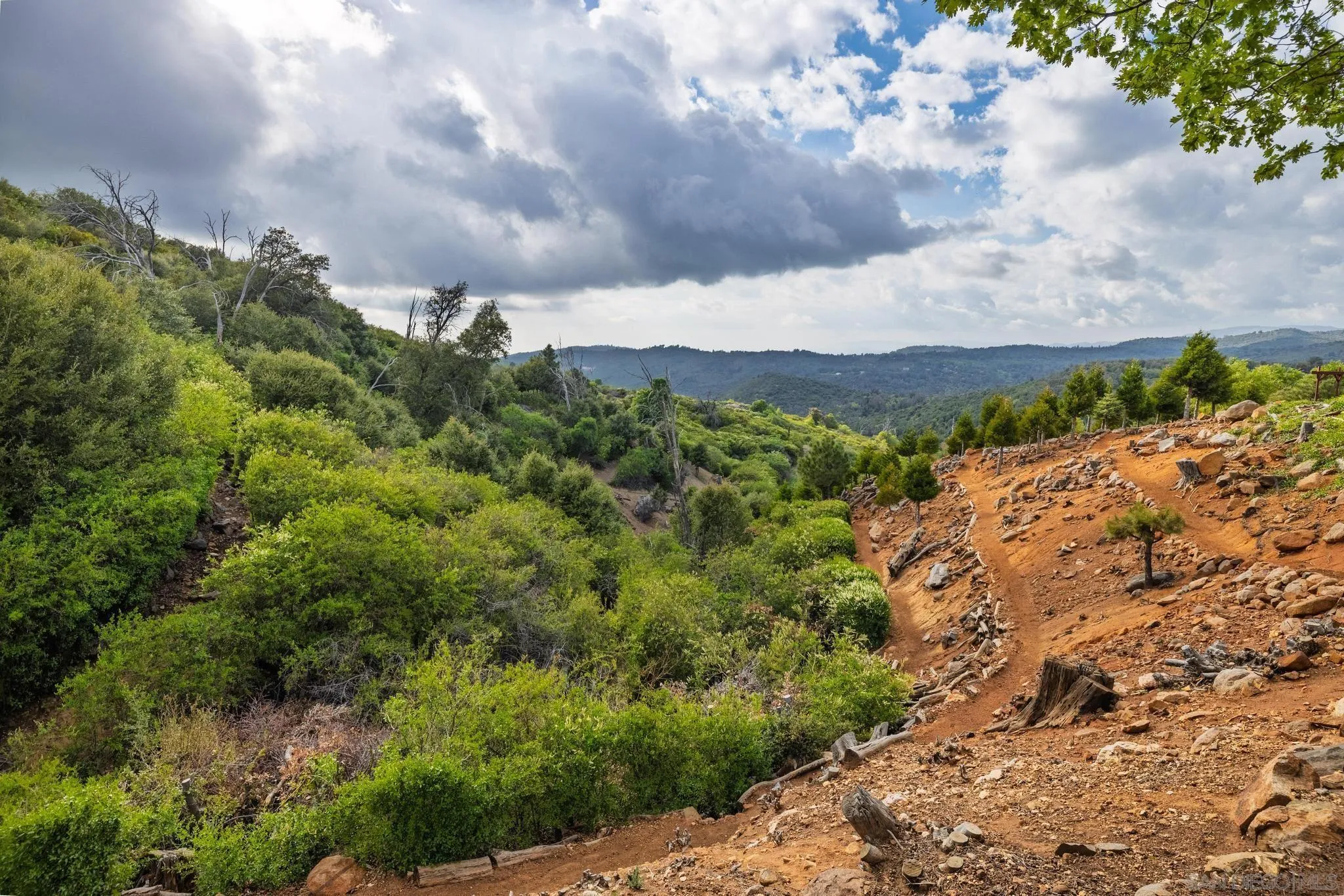 16913 Harrison Park Trl