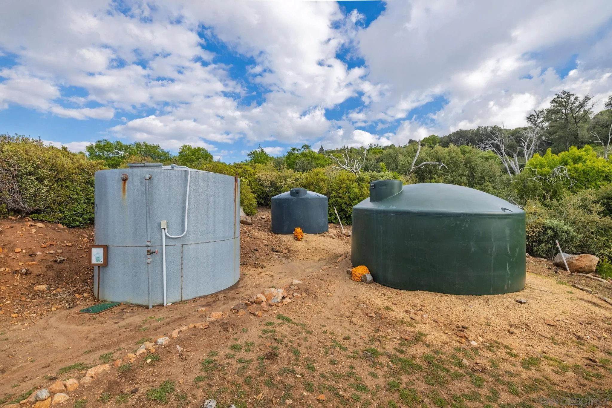 16913 Harrison Park Trl