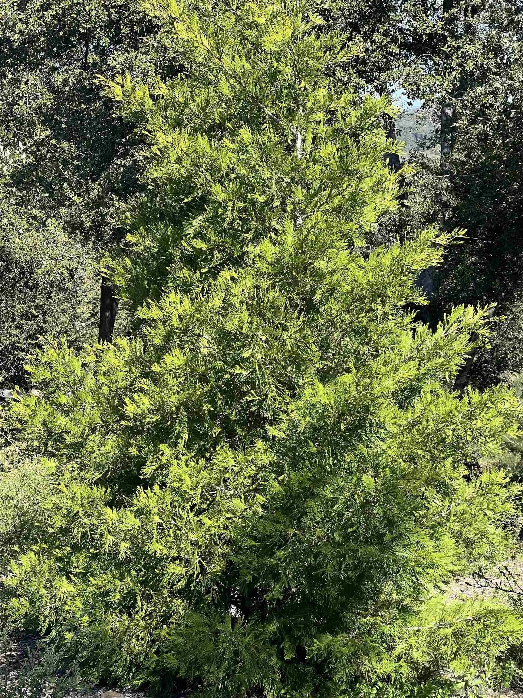 000 Toyon Mountain Ln Unit 14