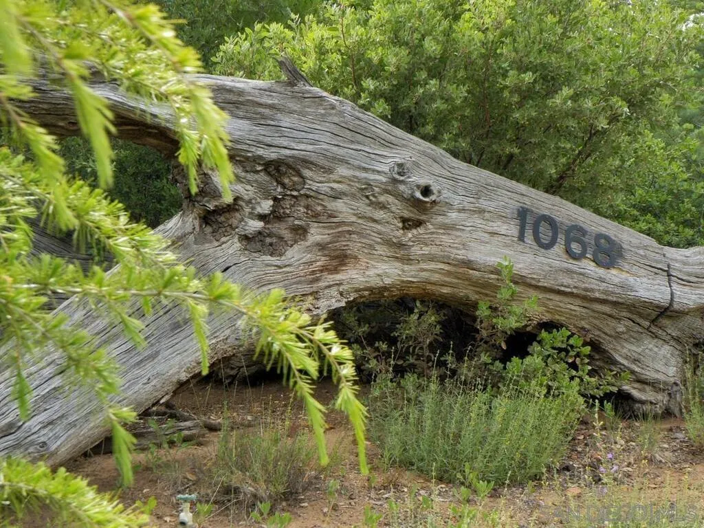 1068 W Incense Cedar Road