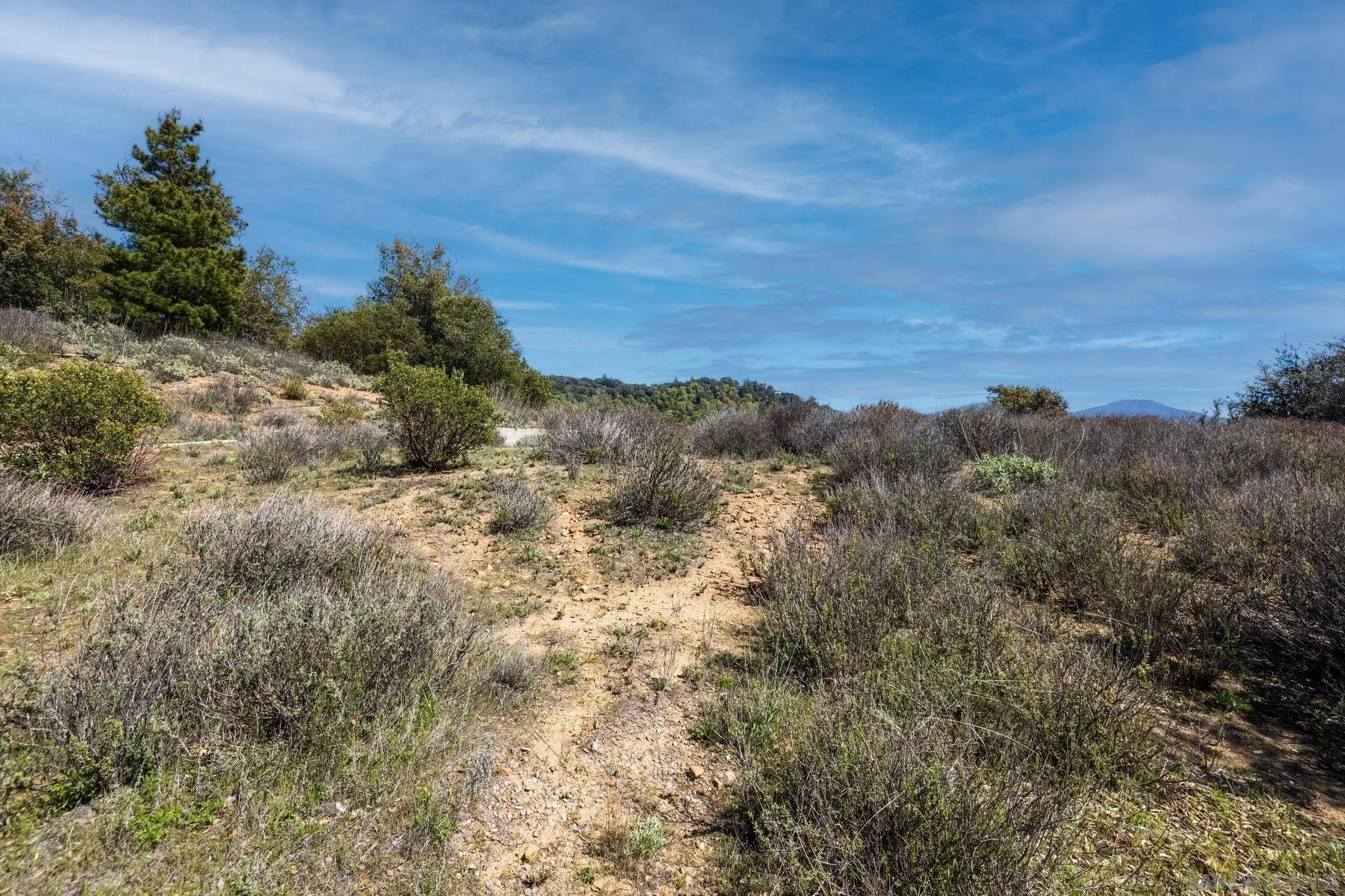 3318 Black Oak Ln Unit 1