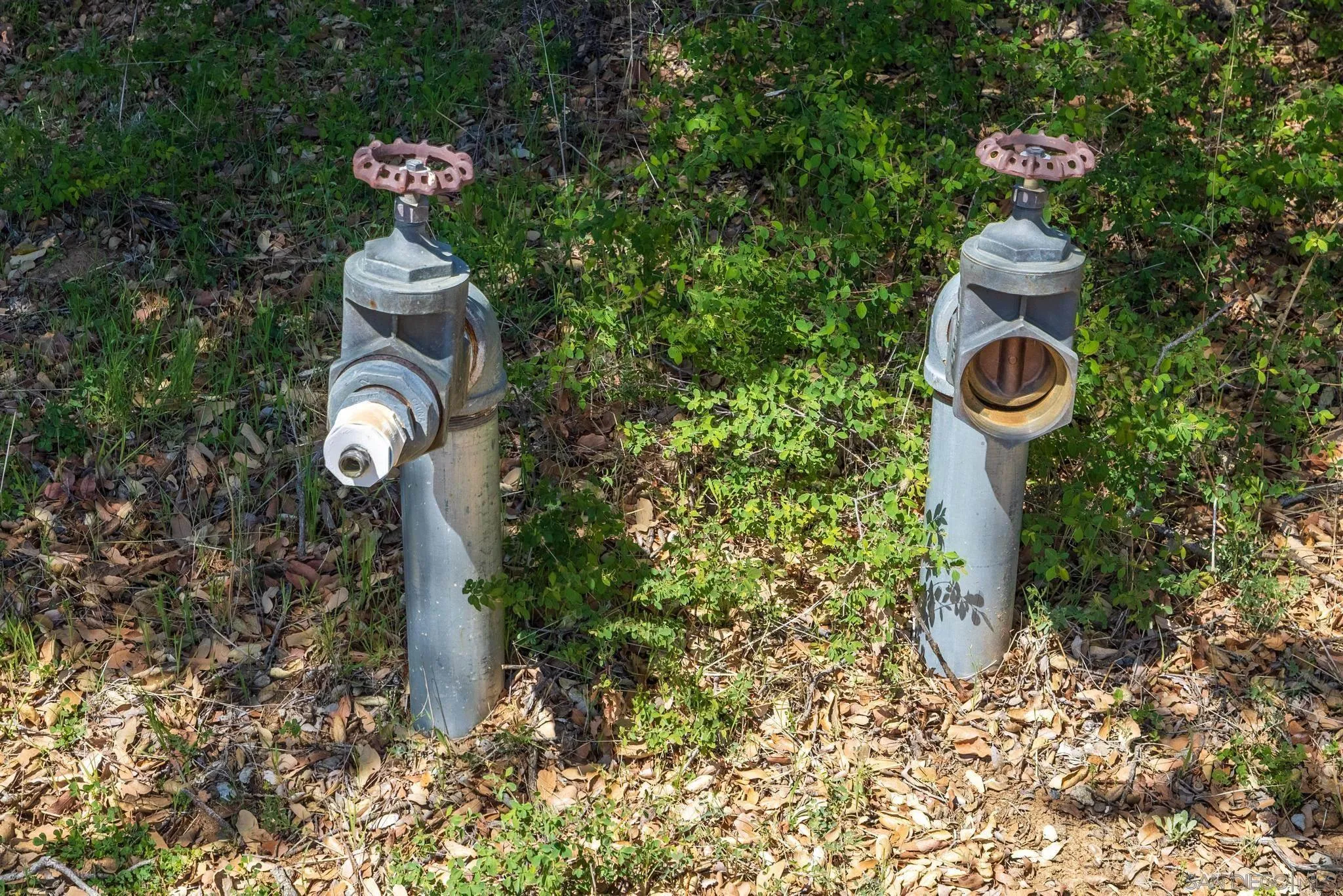 3318 Black Oak Ln Unit 1