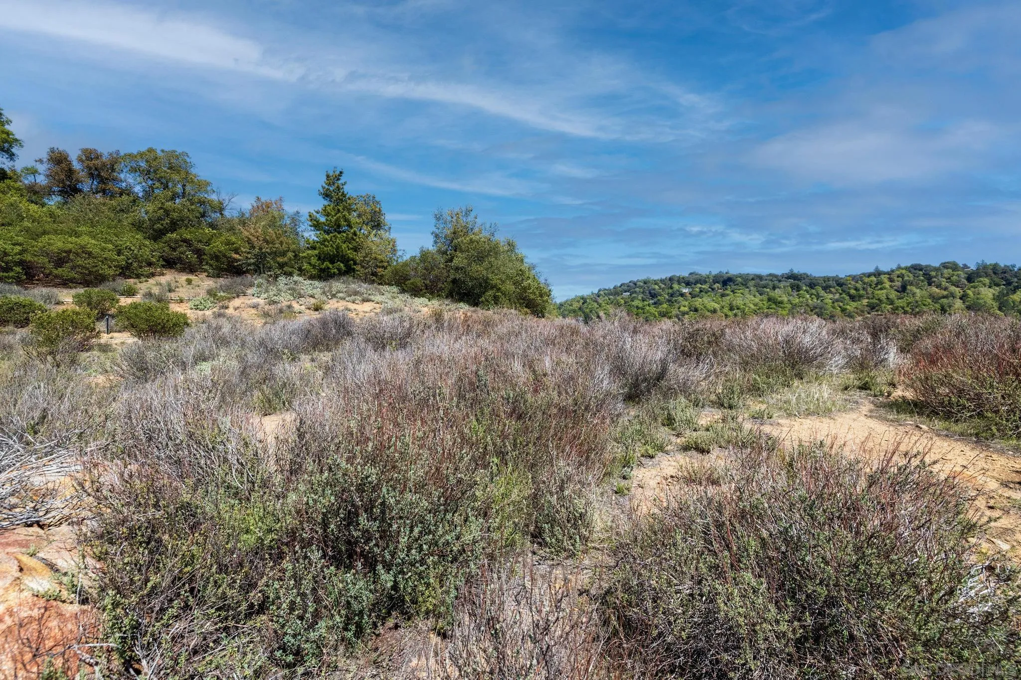 3318 Black Oak Ln Unit 1