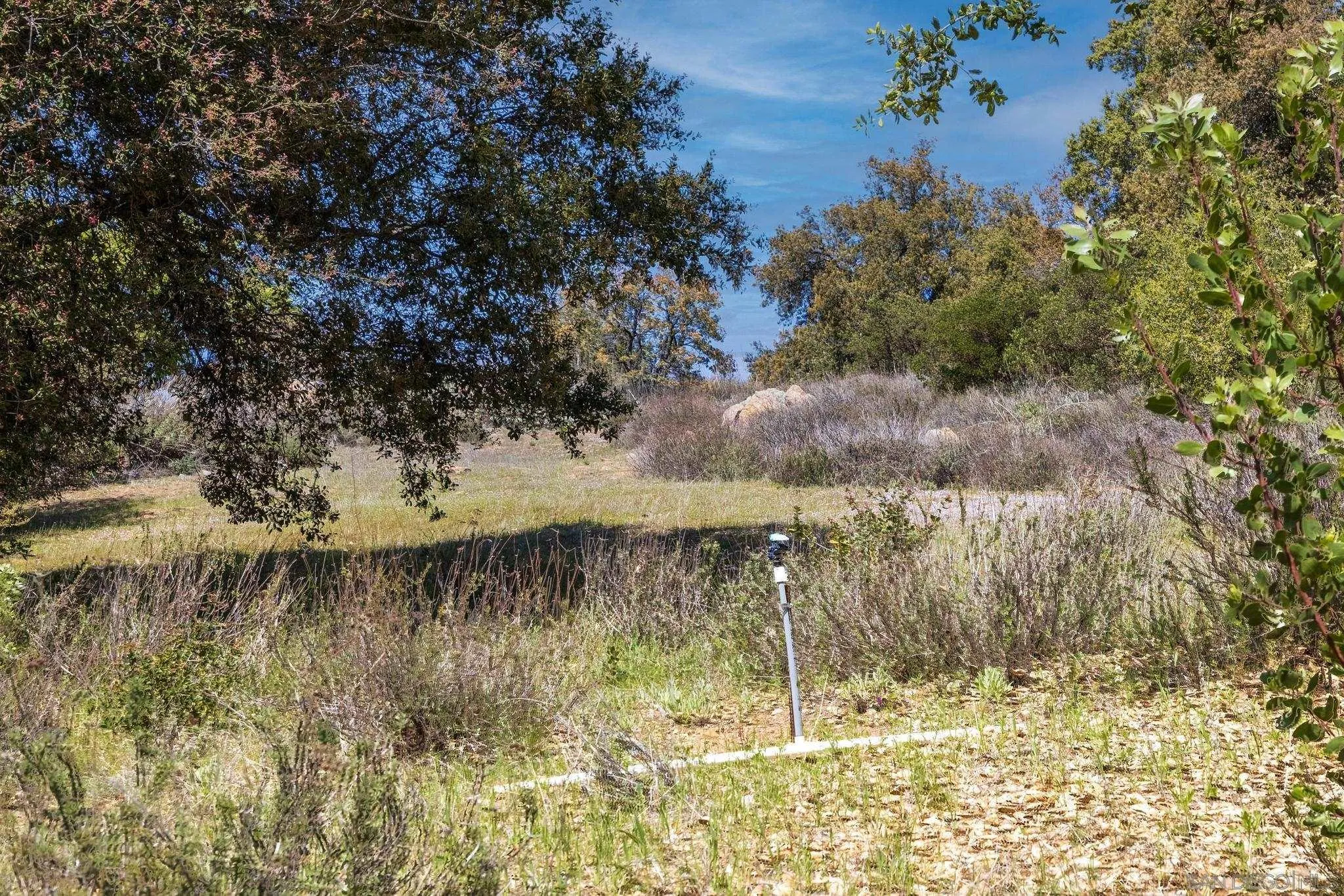 3318 Black Oak Ln Unit 1