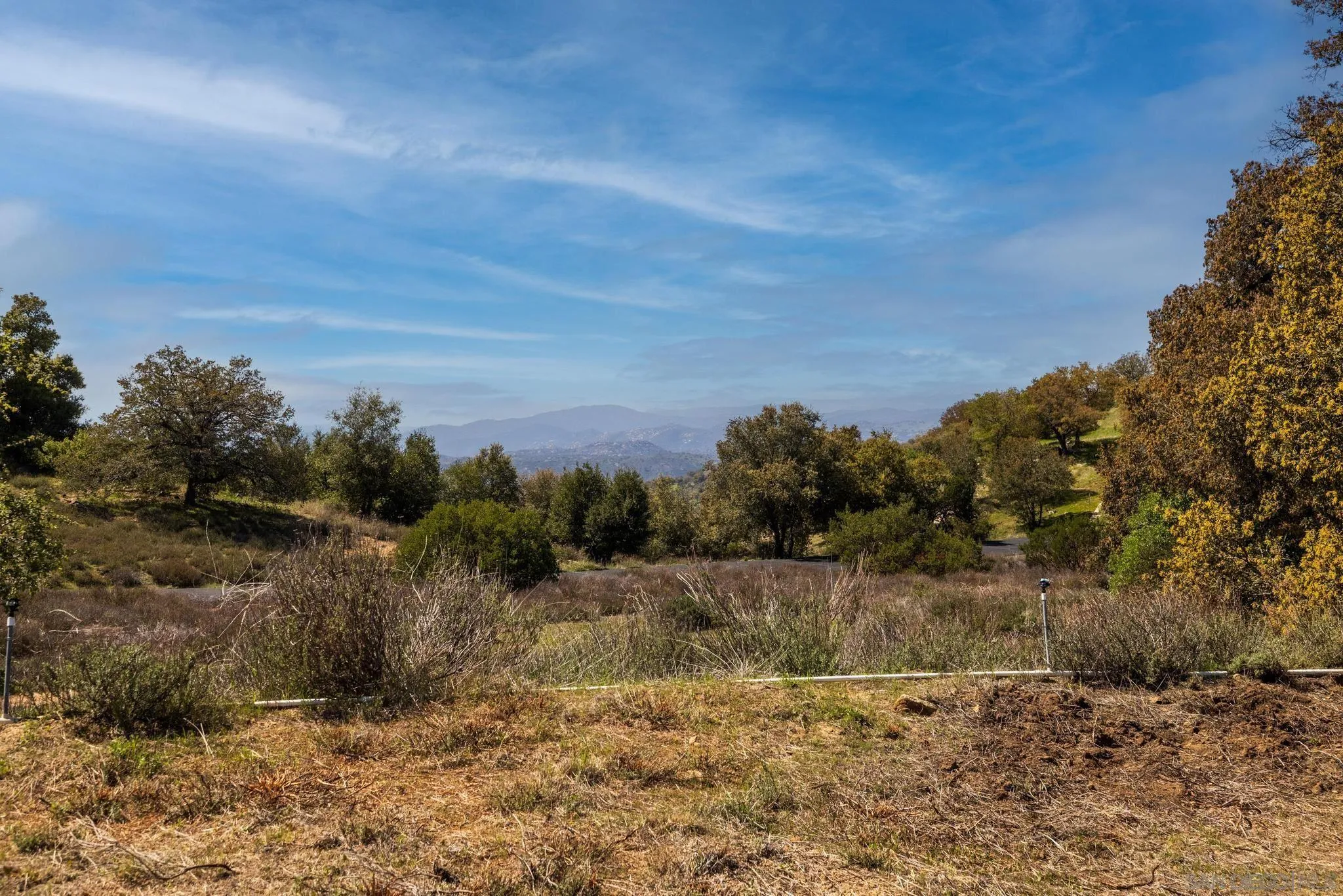 3318 Black Oak Ln Unit 1