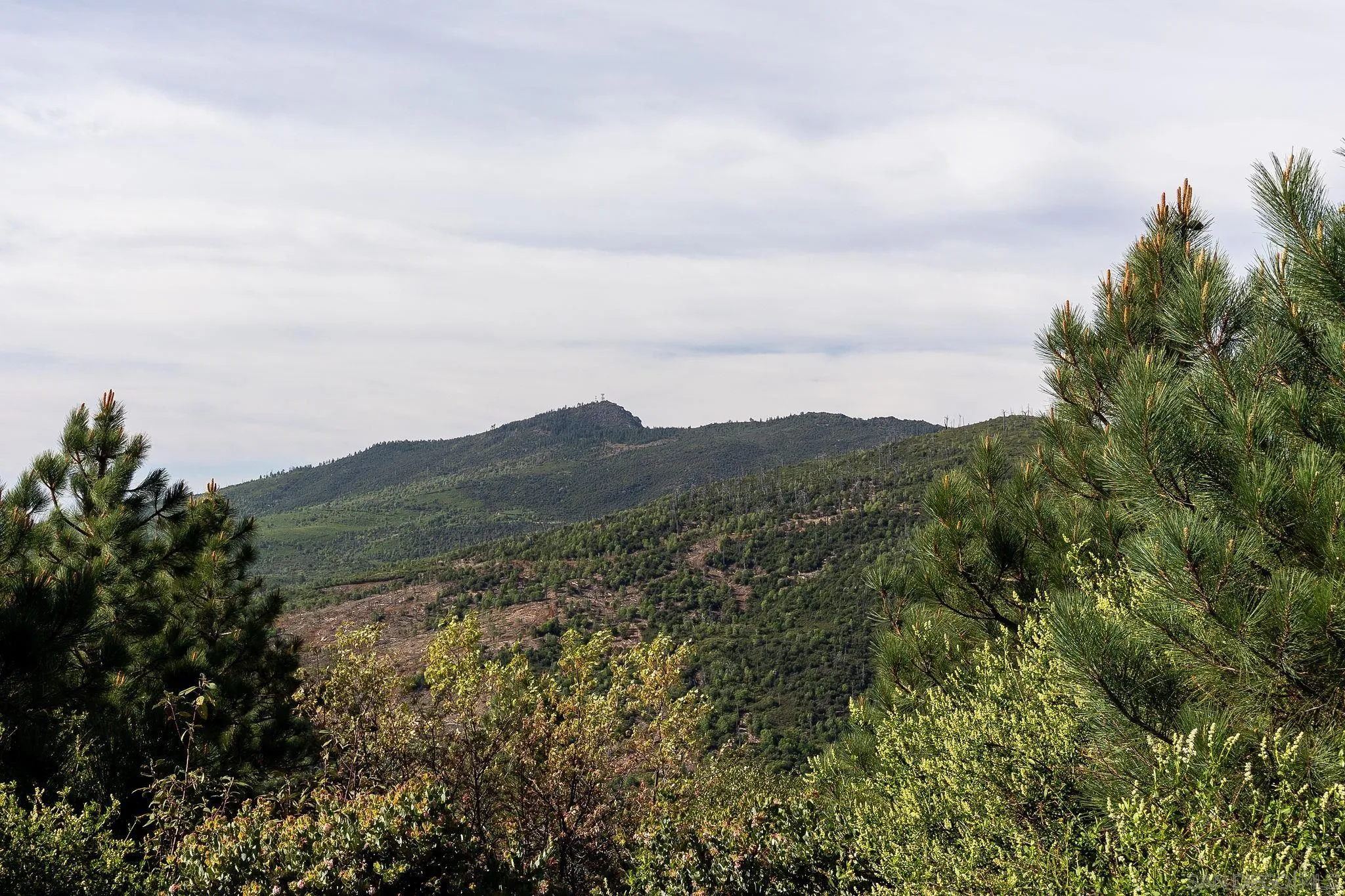 15962 North Peak Rd. Unit 39