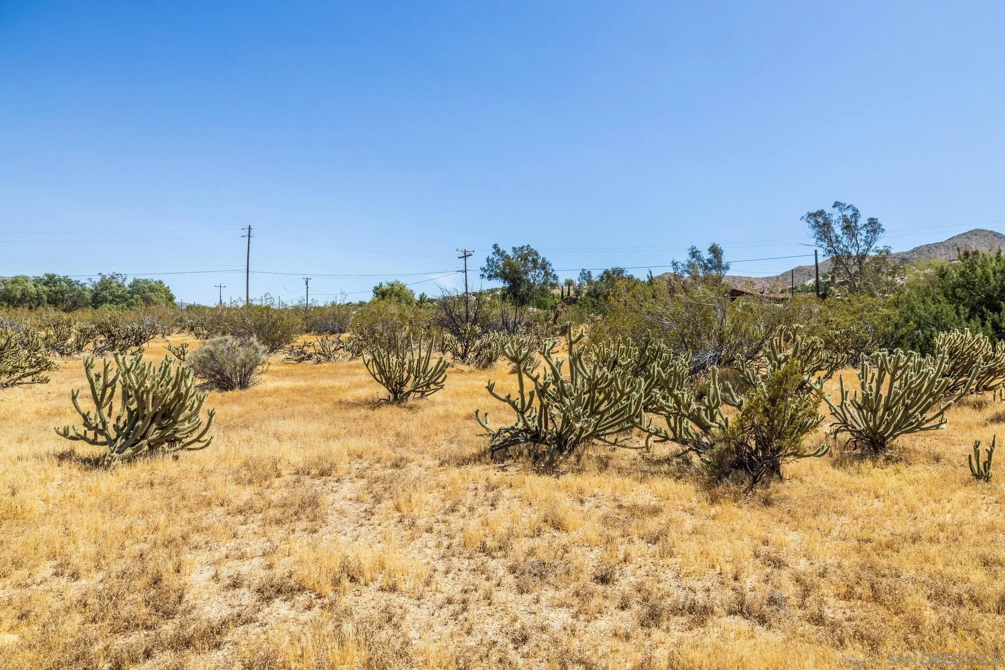 7273 Hard Scramble Trl