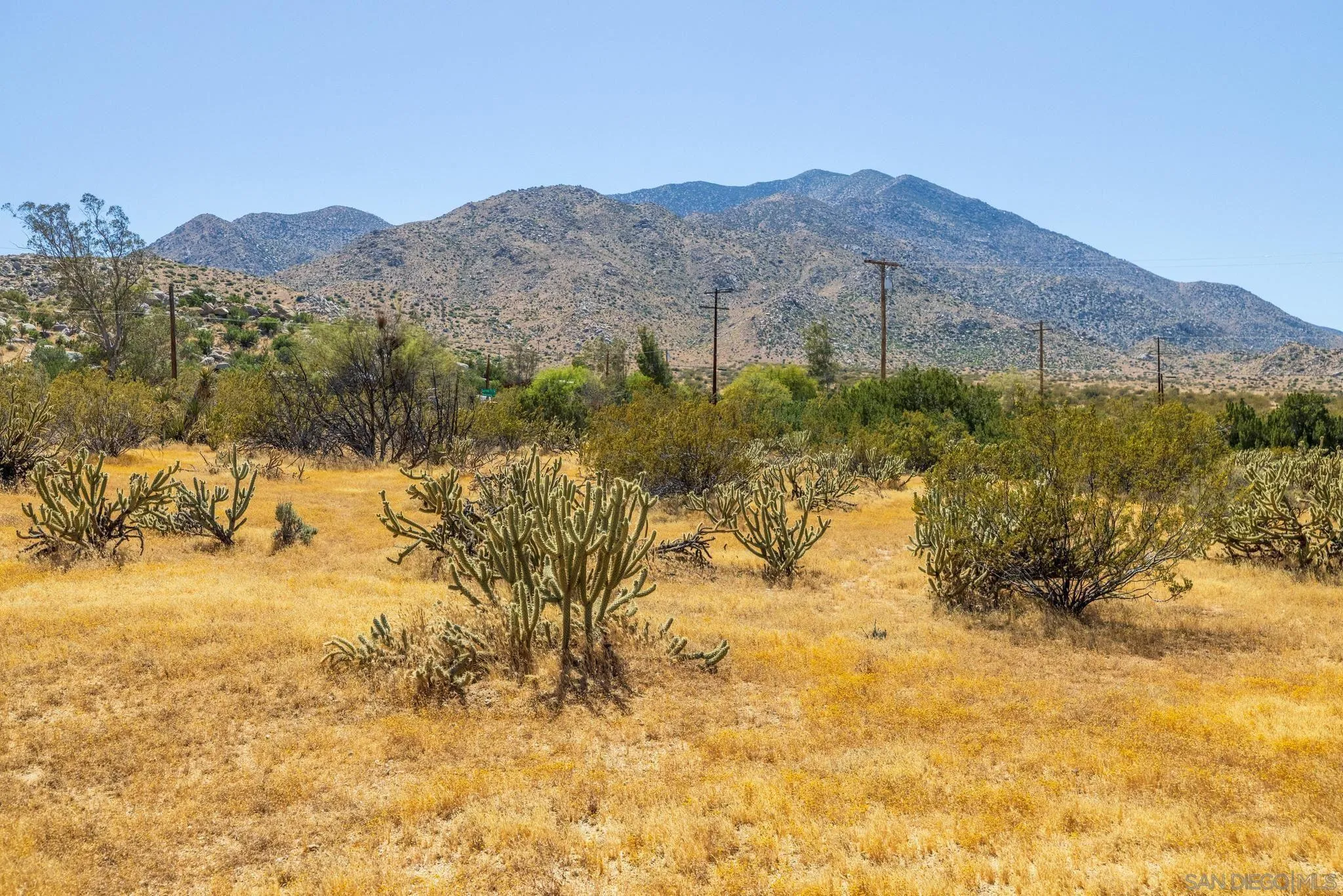 7273 Hard Scramble Trl