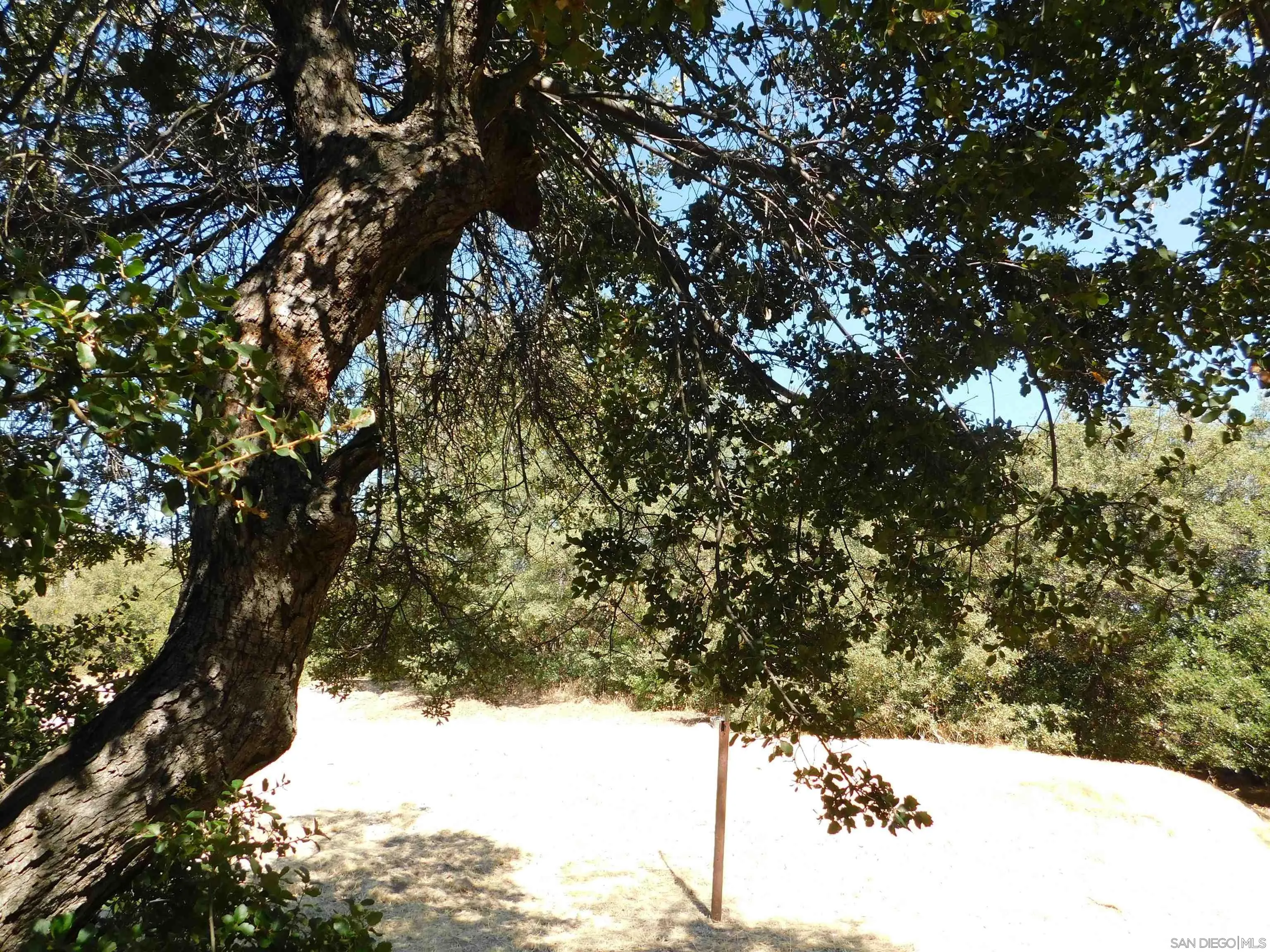 1761 Whispering Pines Dr. Unit 0