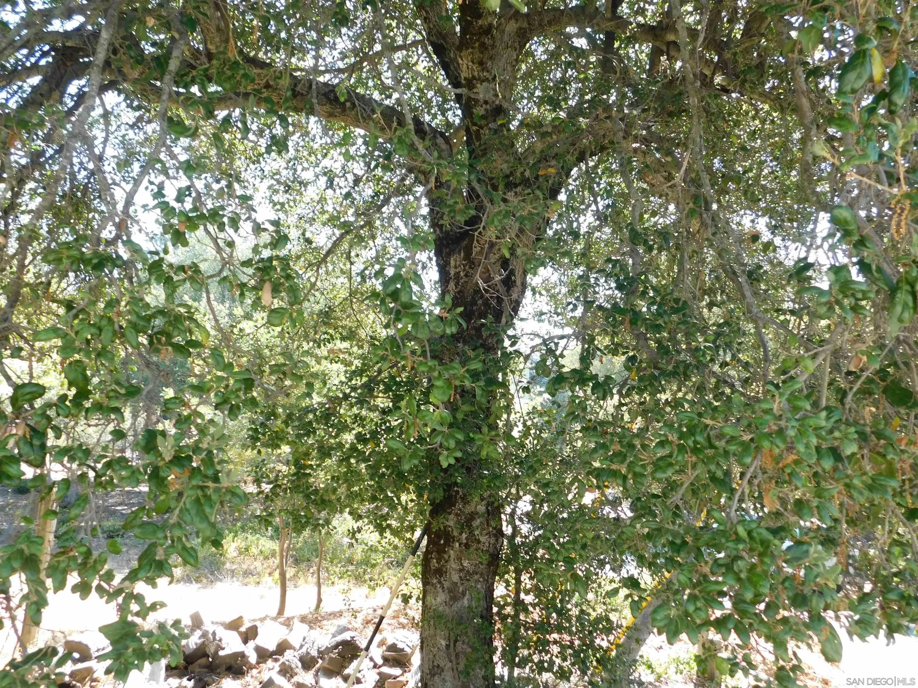 1761 Whispering Pines Dr. Unit 0