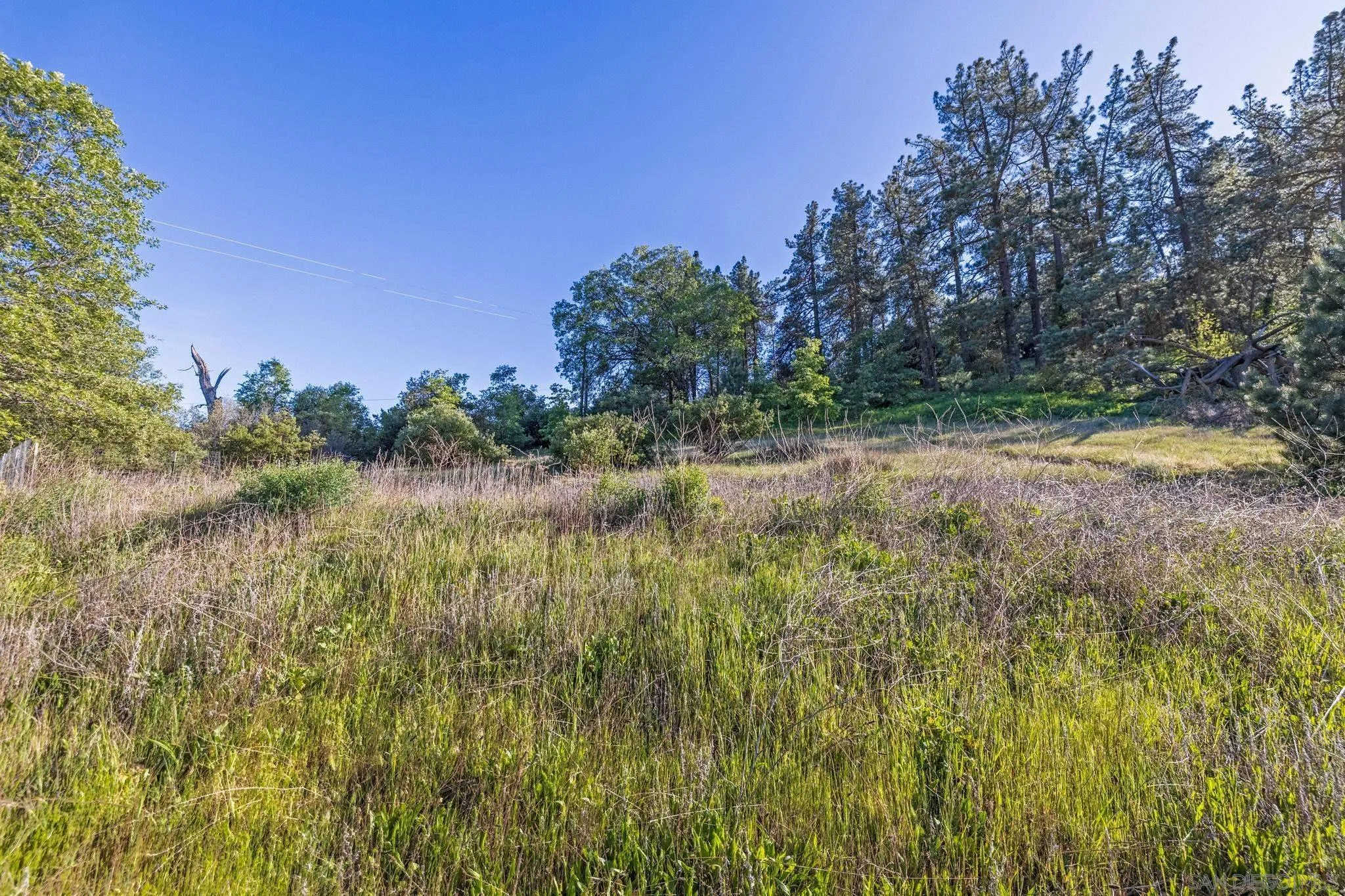 2748 Highway 79 Unit 0