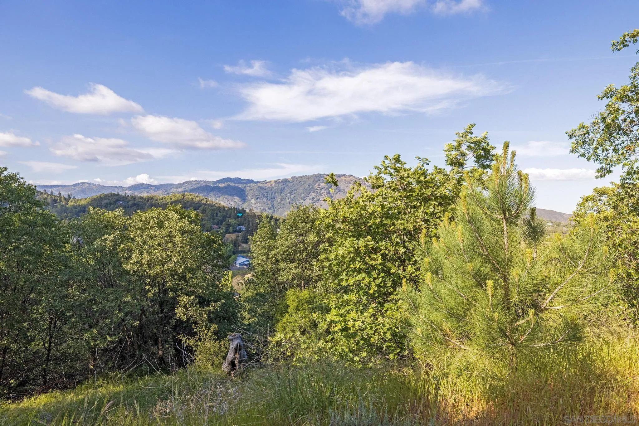 2748 Highway 79 Unit 0