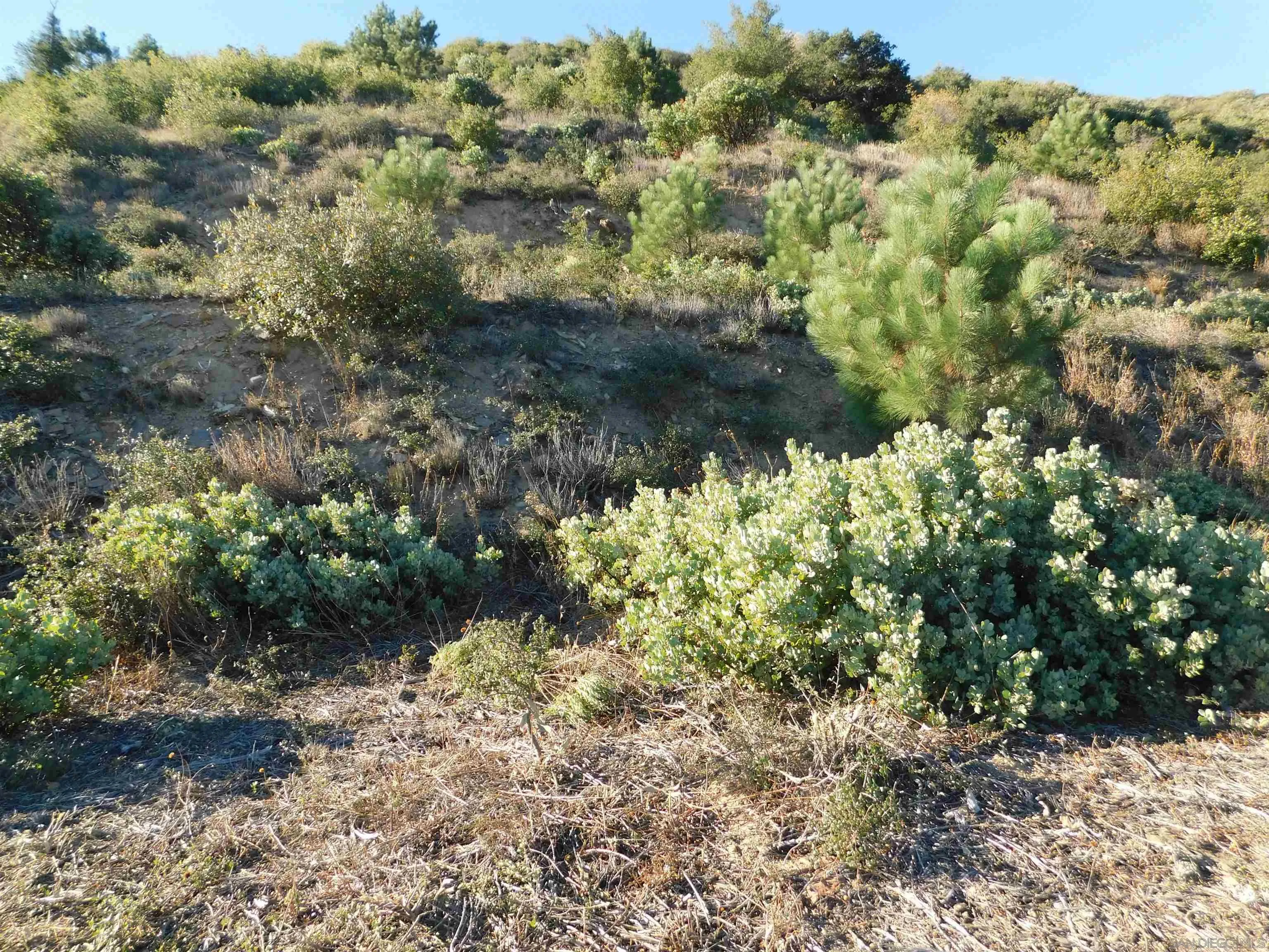 1.90 Ac Mountain View Unit 0