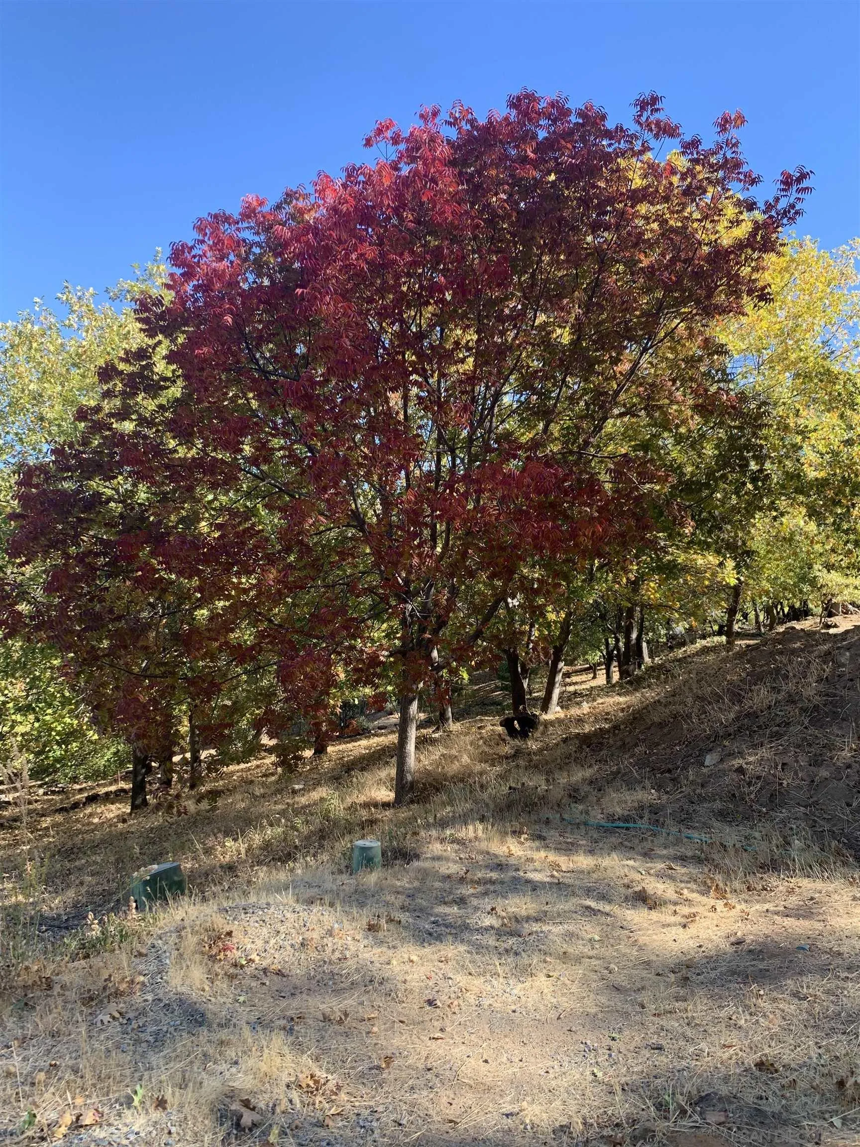 4129 Eagle Peak Unit 0
