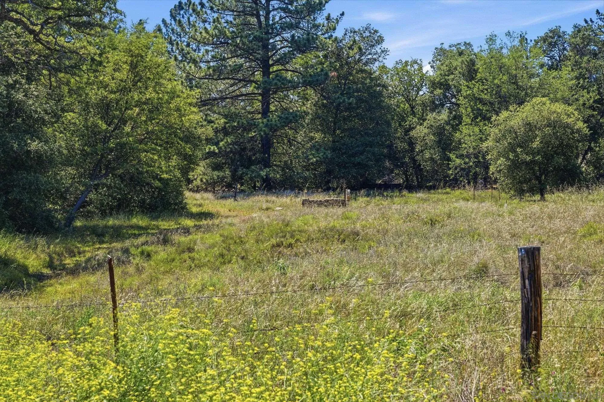 9474 Black Mountain Truck Trail
