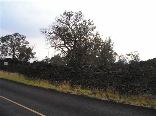 tiki lane