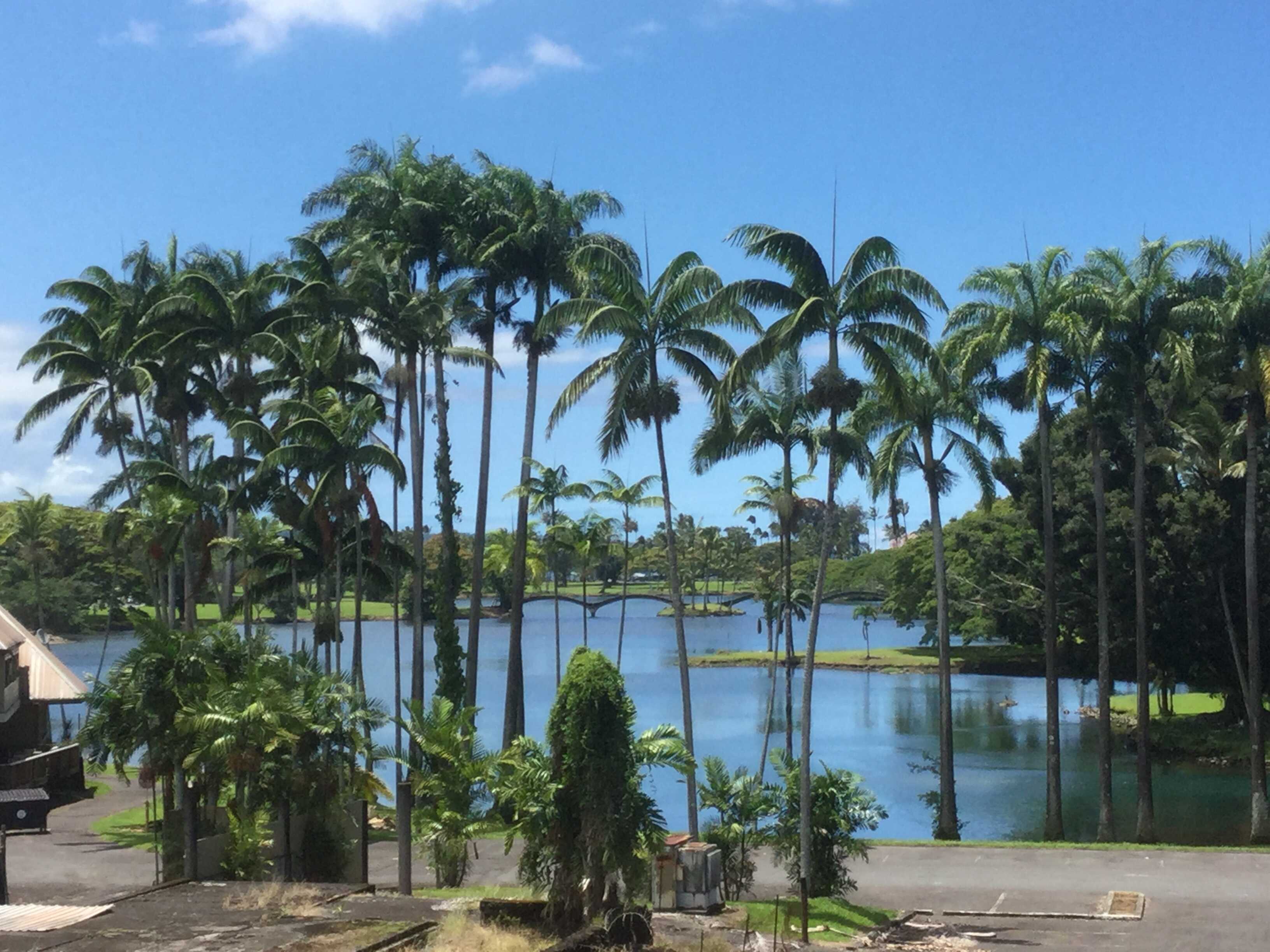 400 HUALANI ST 1301