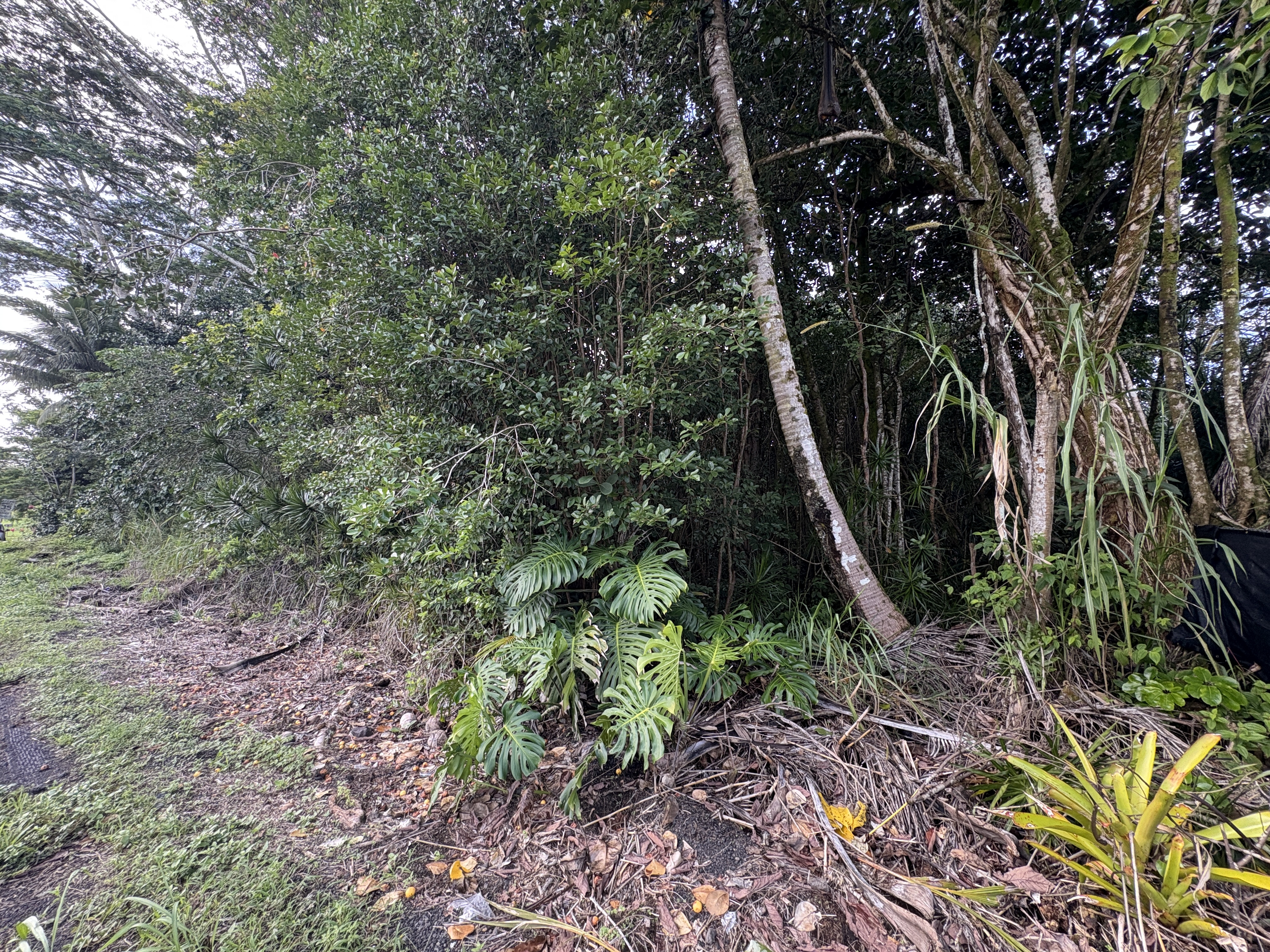 KAHAKAI BLVD